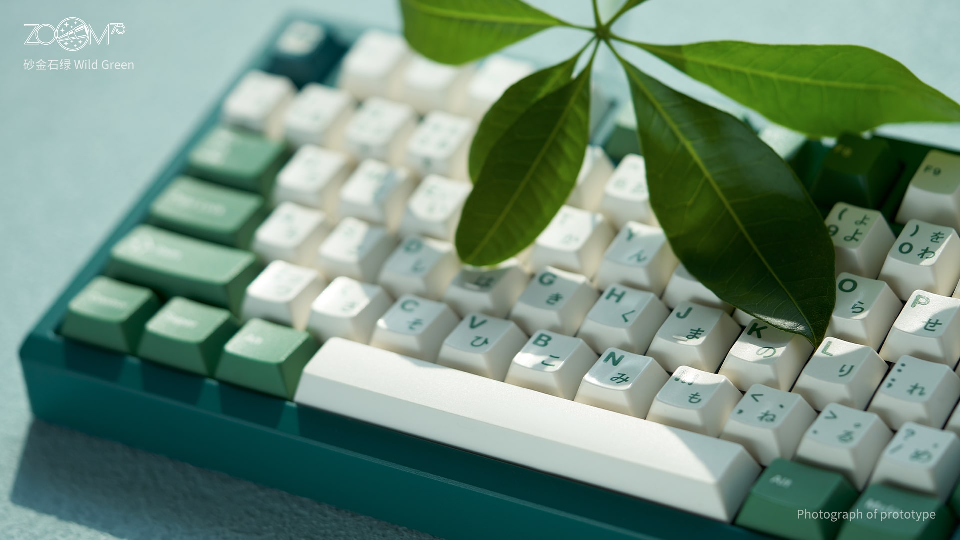 [Extra GB] [Oct] Zoom75 Keyboard Essential Edition - Case Wild Green