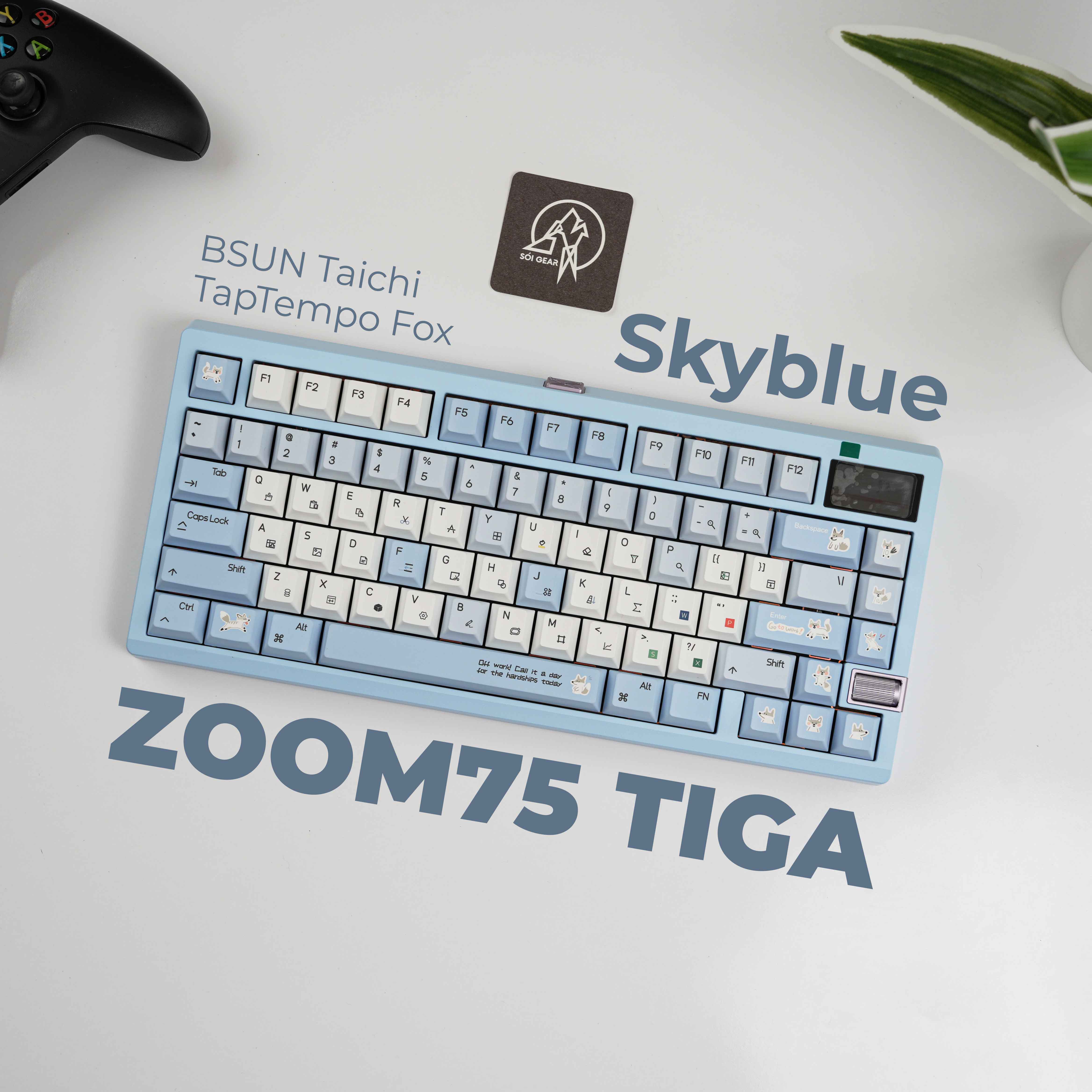 [Prebuilt by Sói] Zoom75 TIGA Sky Blue - BSUN Taichi - TapTempo Fox