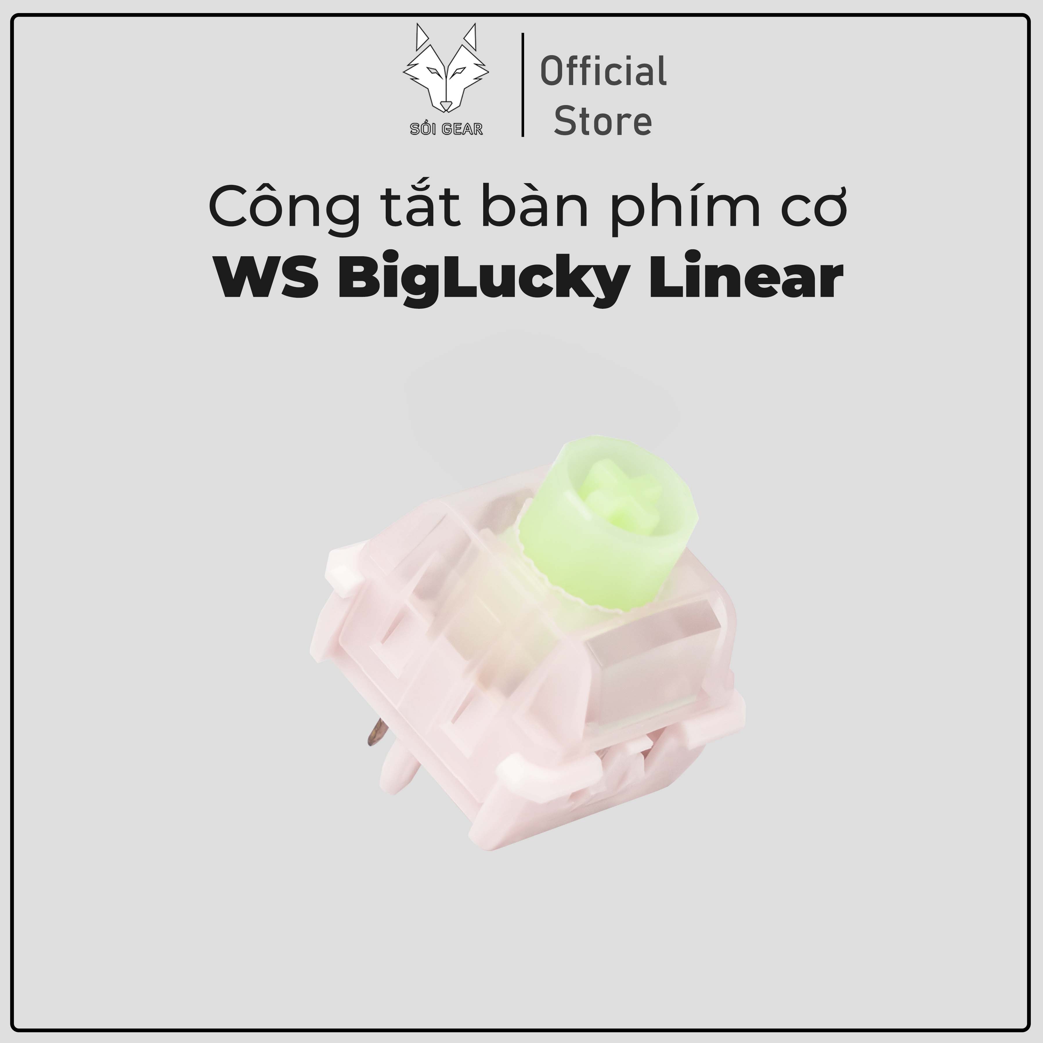 WS Big Lucky Linear Switch