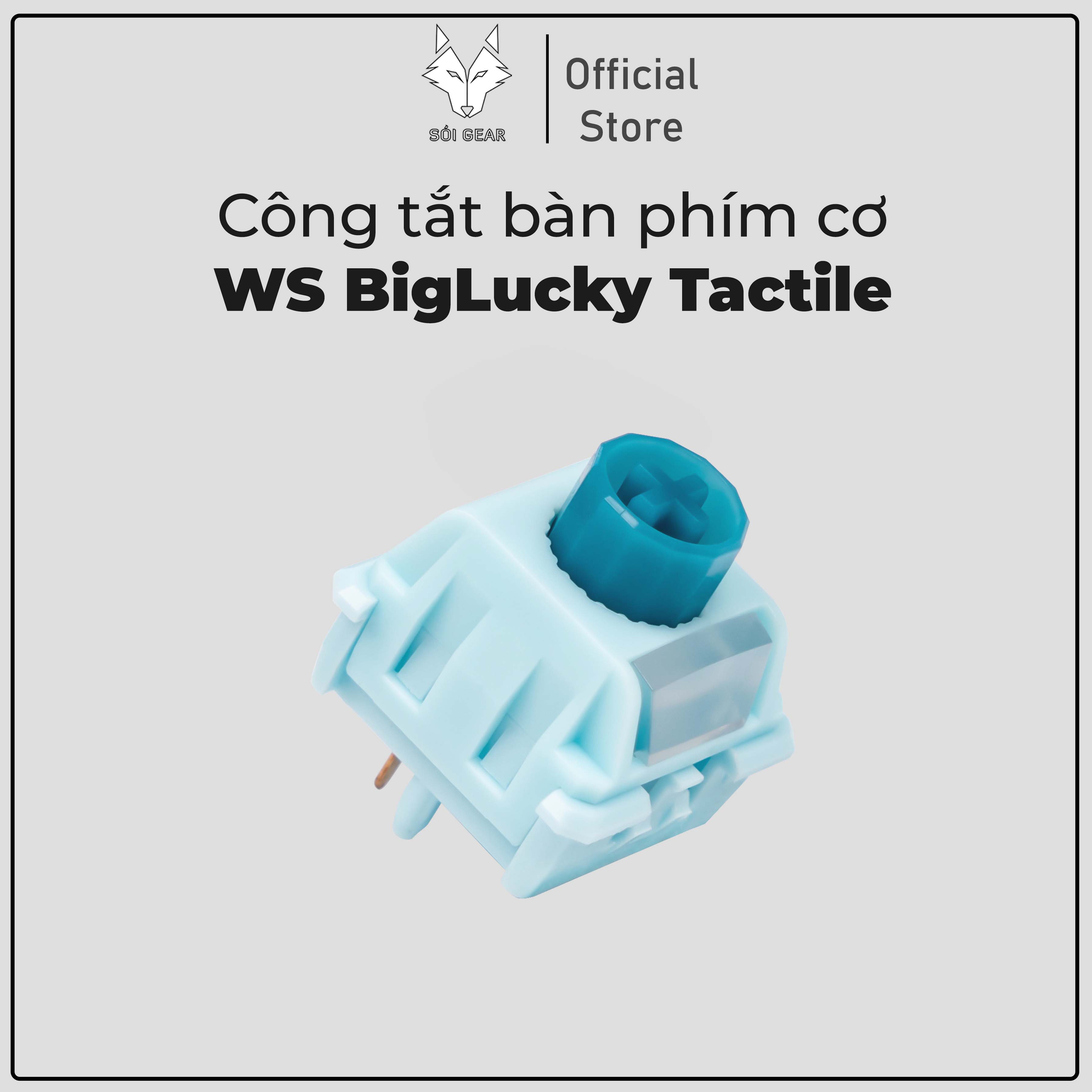 WS Big Lucky Tactile Switch