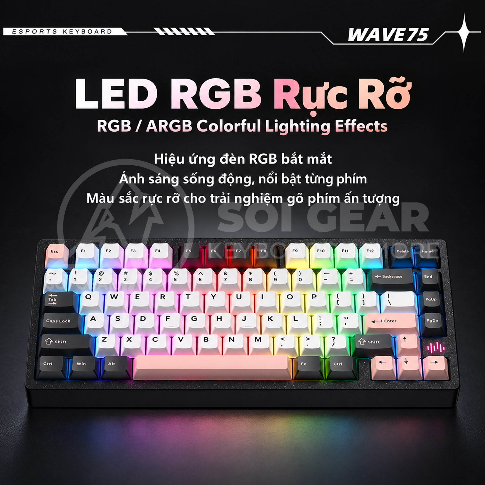 Bàn phím cơ Wave75 Prebuilt