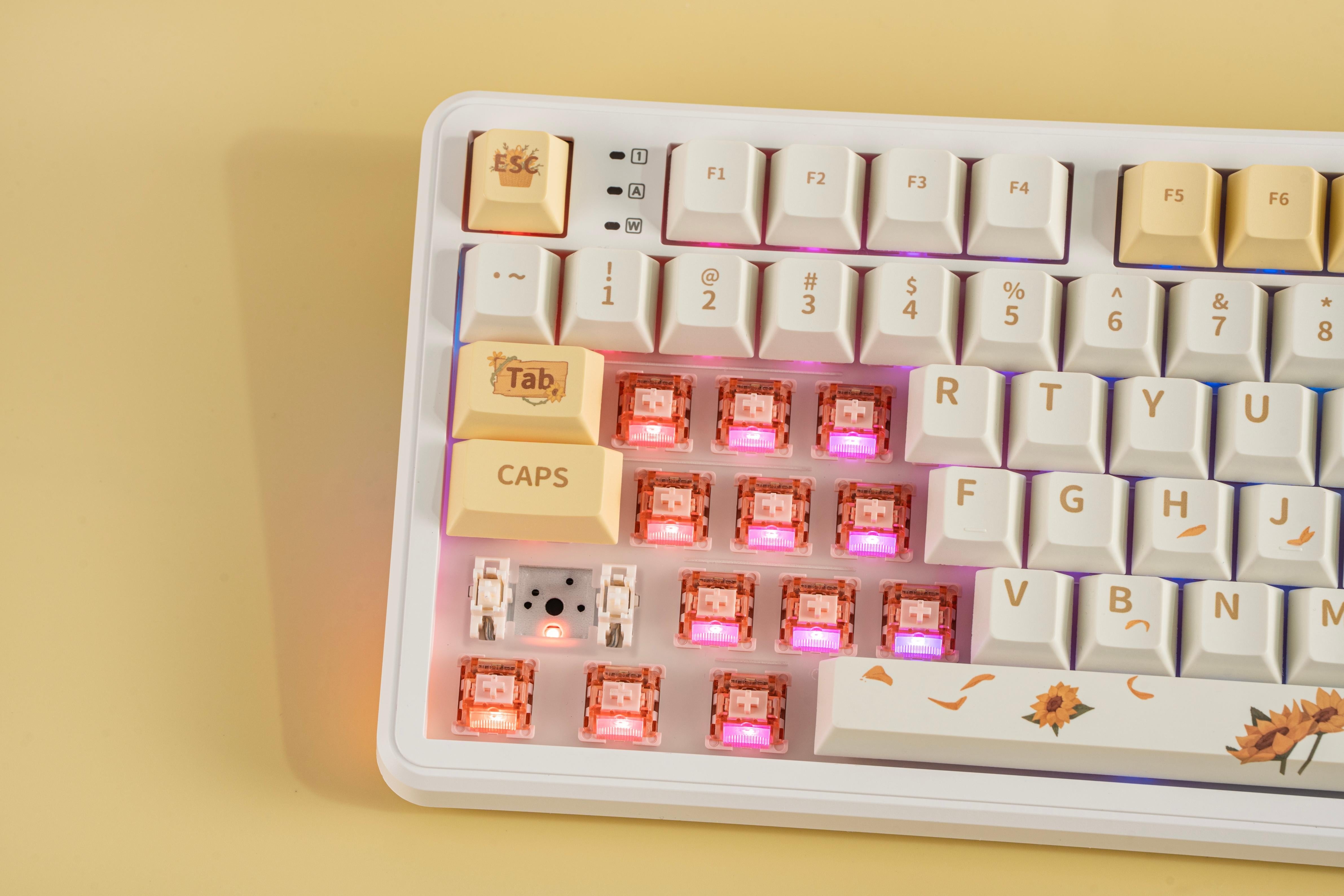 [In Stock] AULA F108 Pro