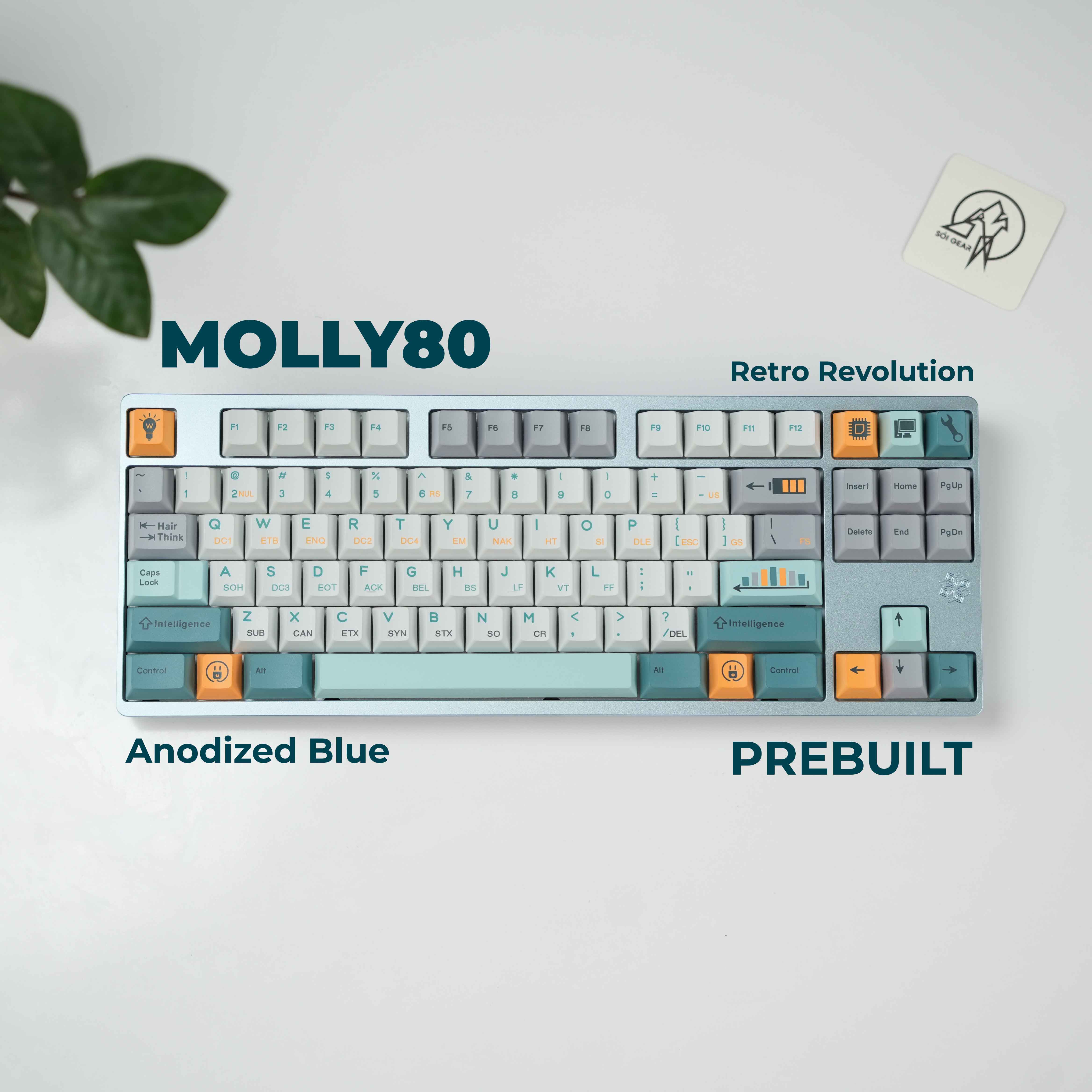 [Prebuilt by Sói] Molly80 Blue - BSUN Taichi - Retro Revolution
