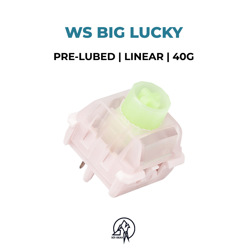 WS Big Lucky Linear Switch