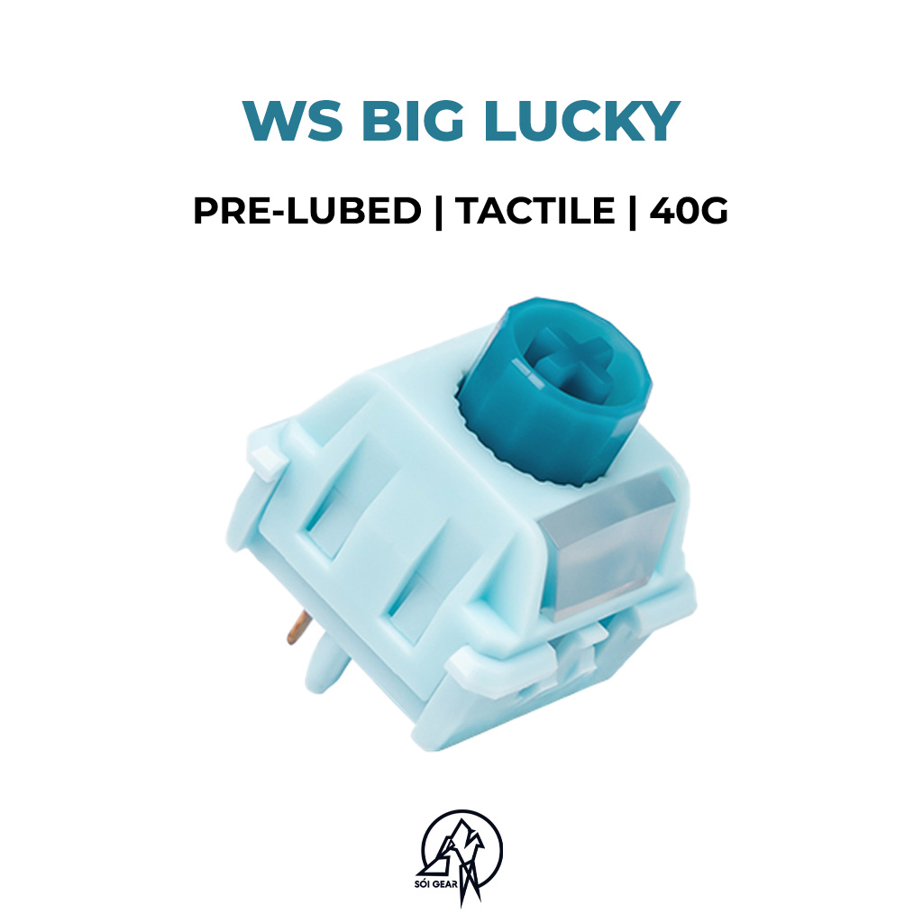 WS Big Lucky Tactile Switch