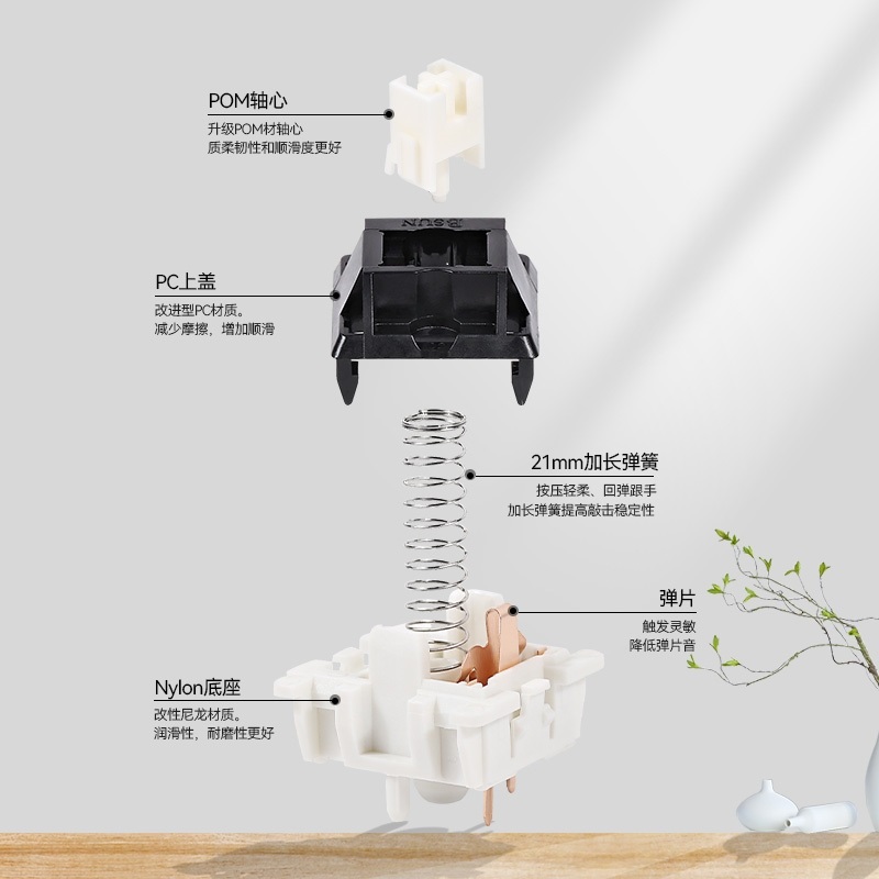 [In Stock] Switch Linear Bsun Taichi