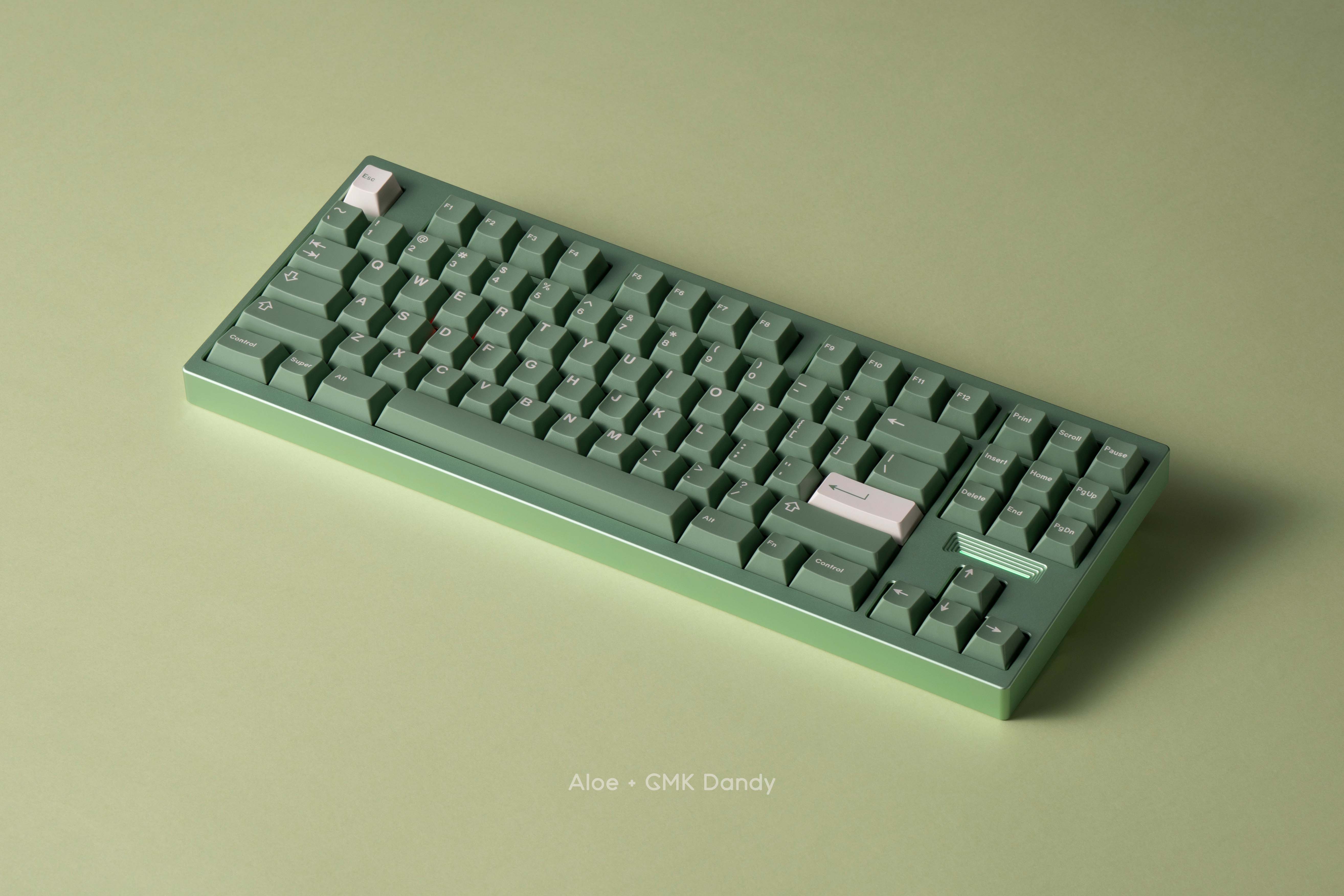 [In Stock] TKD Cycle 8 - Case Anod Aloe
