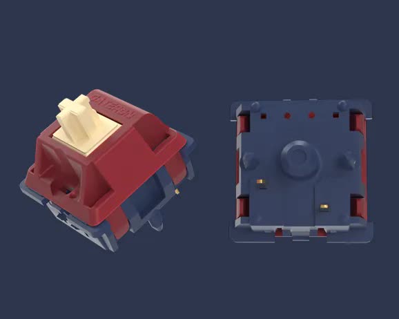 Switch Gateron Quinn Heavy Tactile