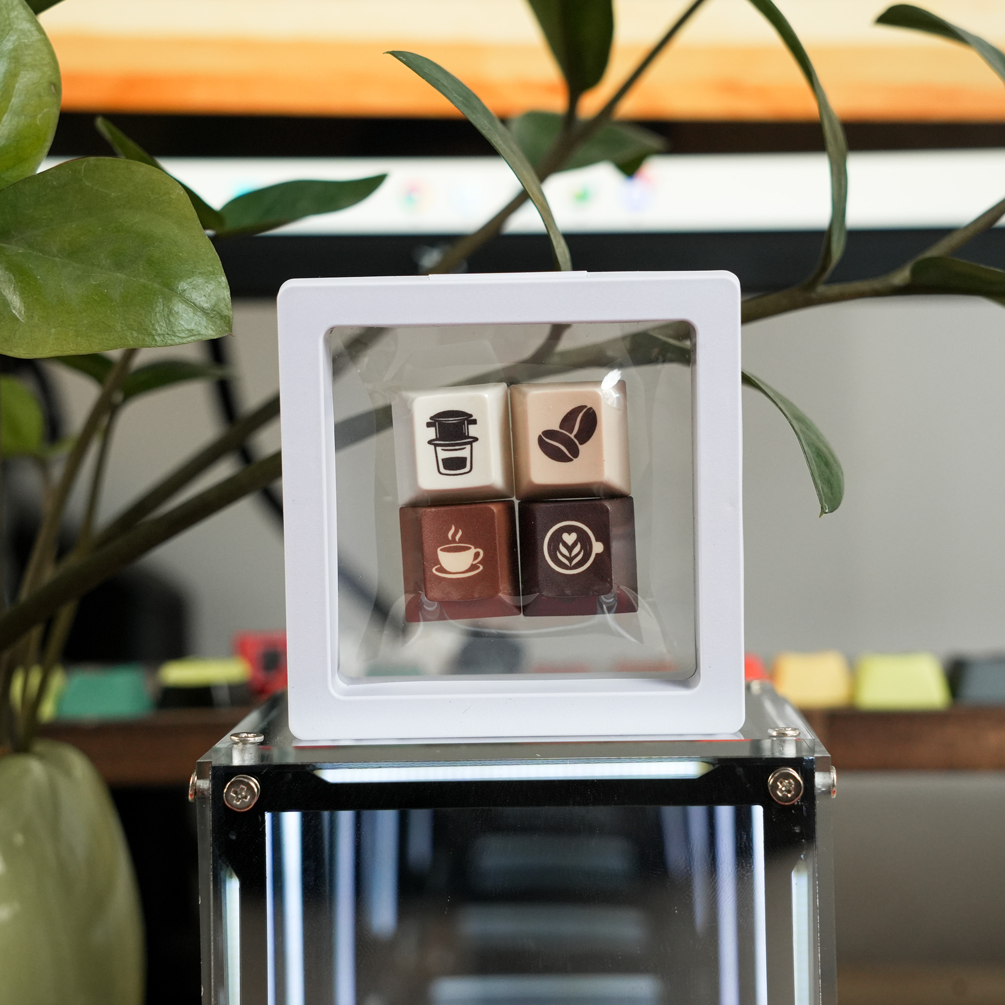 Keycap Soikey Novelties Kit - 4 Nút R4 1U Cherry PBT Dyesub