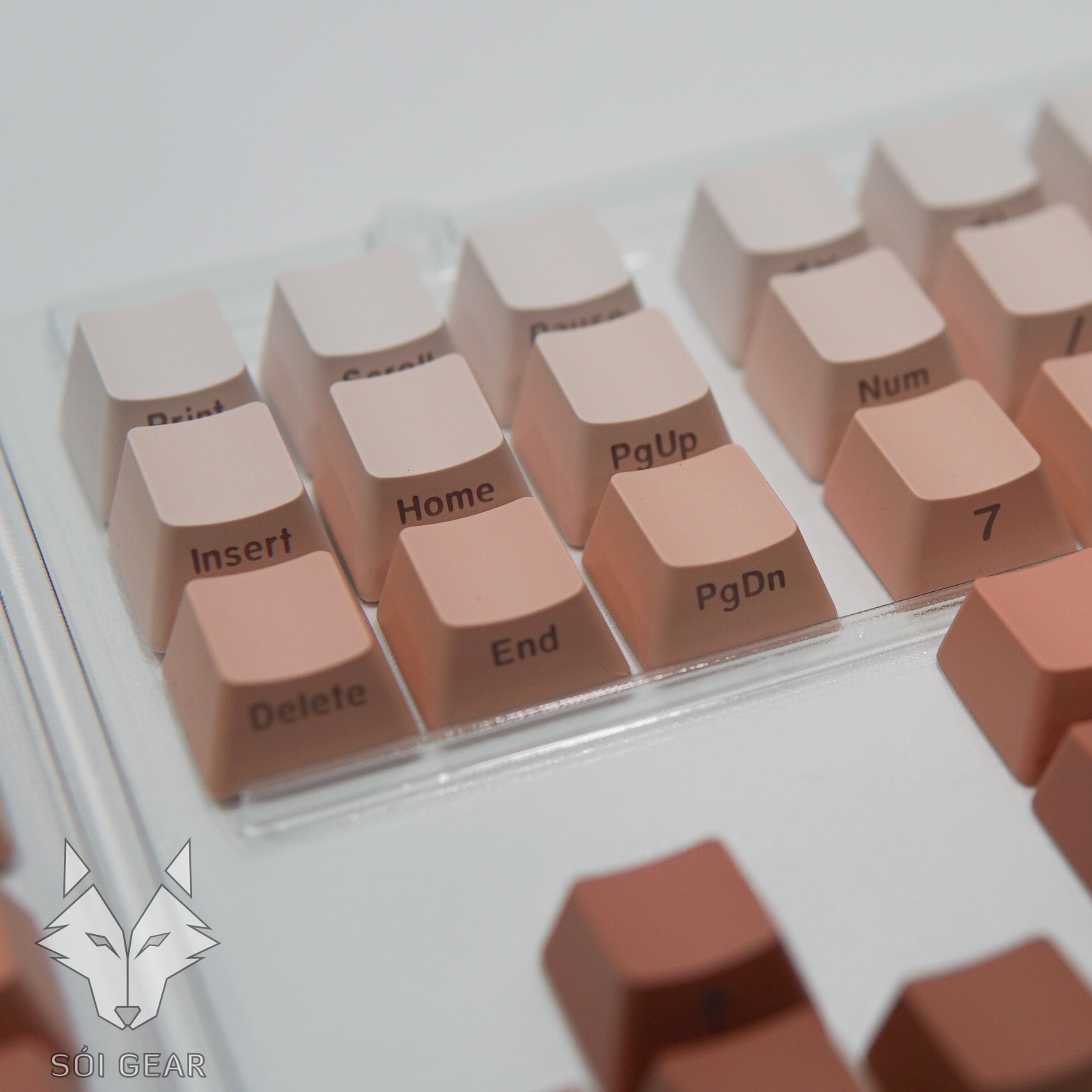 [In-stock] Keycap OEM PBT Ninja Gradient Xuyên led - Hồng