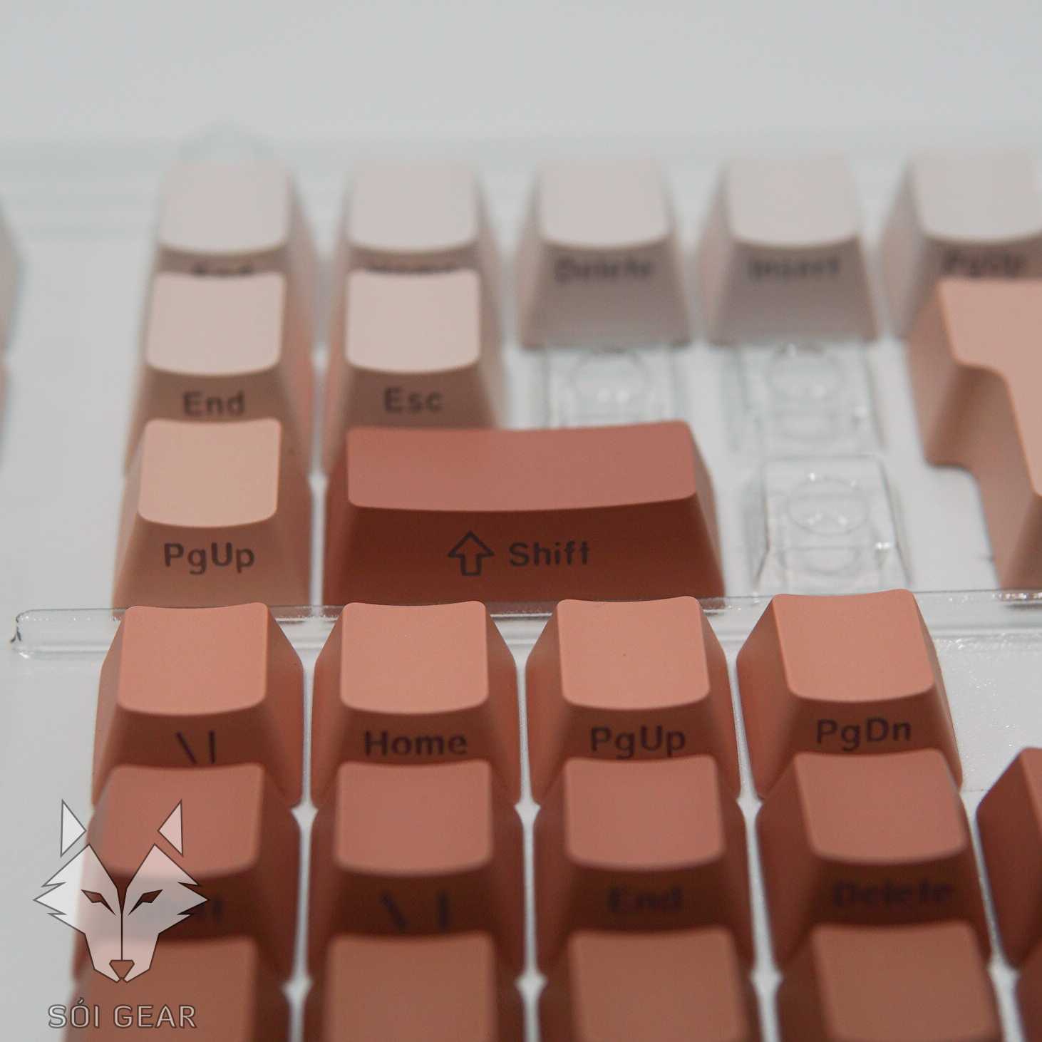 [In-stock] Keycap OEM PBT Ninja Gradient Xuyên led - Hồng