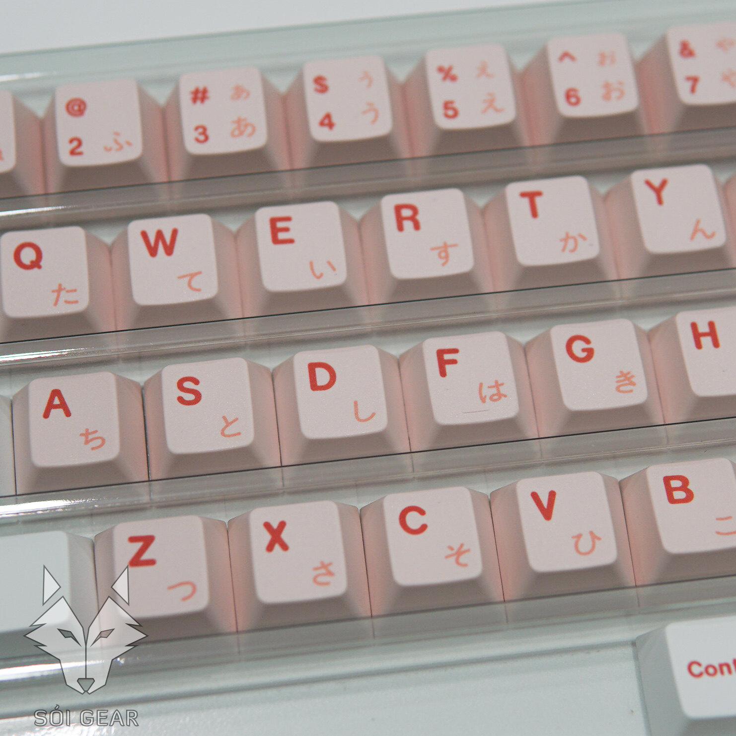 Keycap Key House Cherry Sakura Pink PBT Dyesub