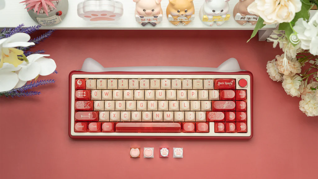 [In Stock] PAW65