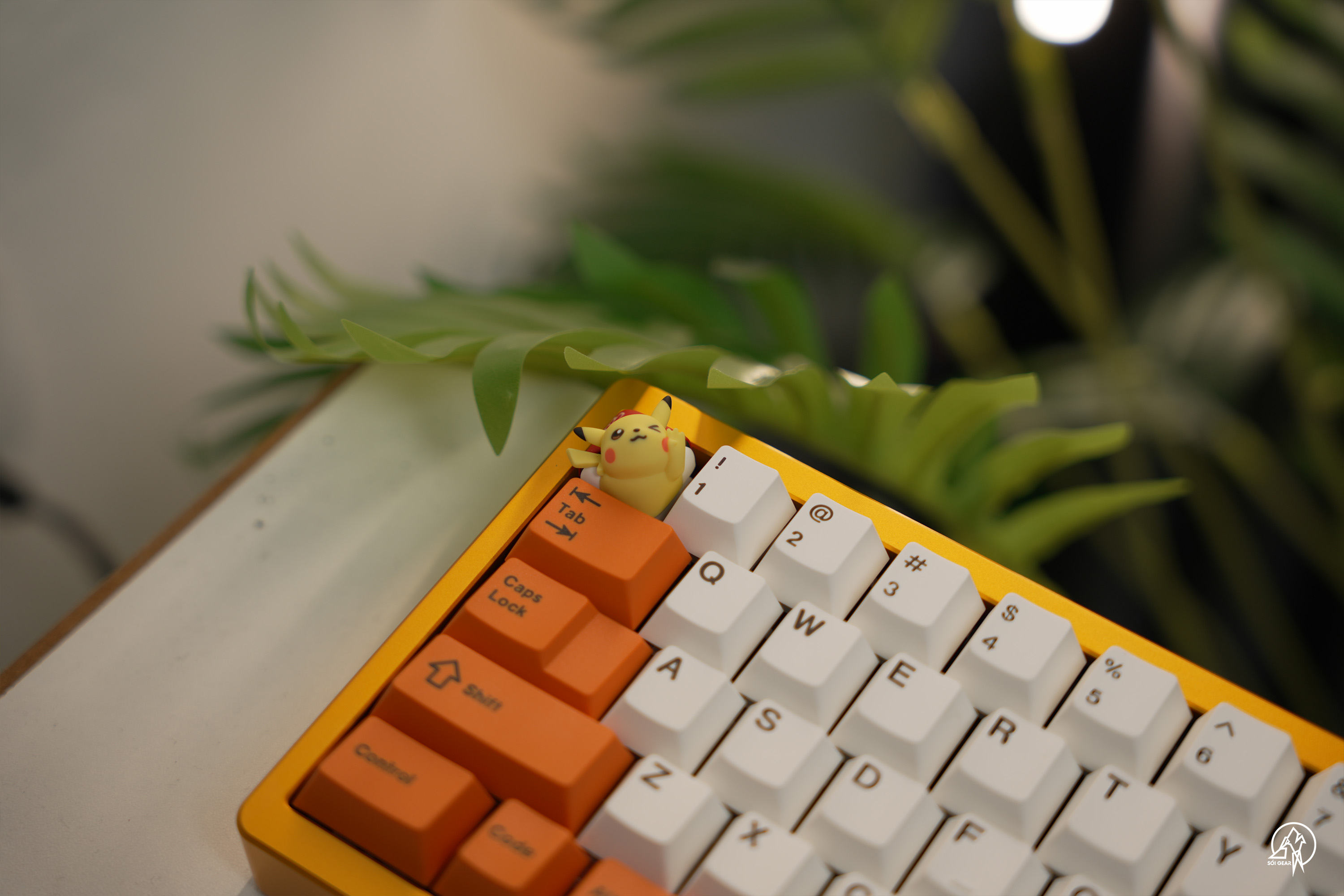 [Pre Order] Bàn phím PIKAKU65 KIT