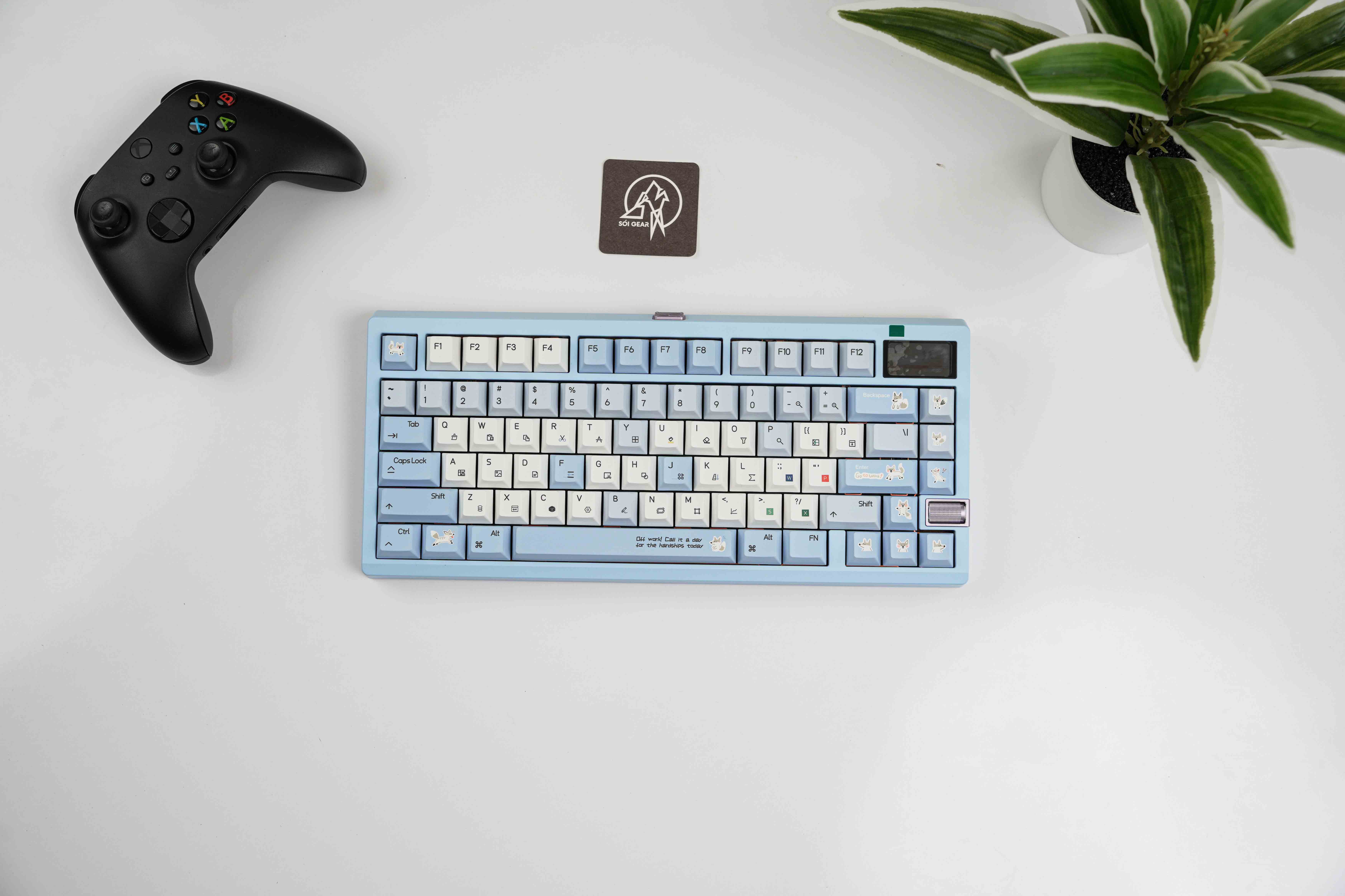 [Prebuilt by Sói] Zoom75 TIGA Sky Blue - BSUN Taichi - TapTempo Fox