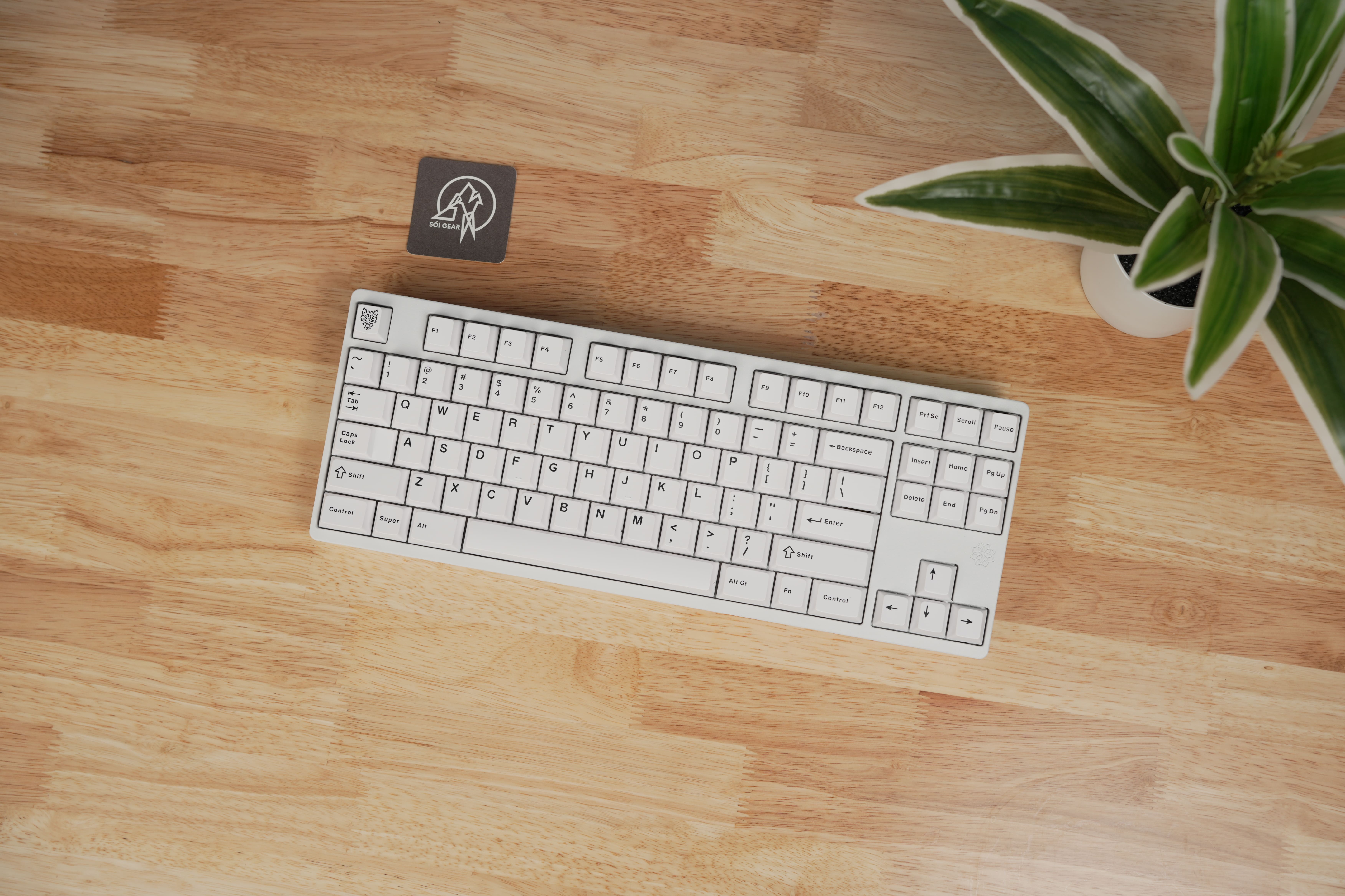 [Prebuilt by Sói] Molly80 Spray White - BSUN Taichi - Aifei BOW