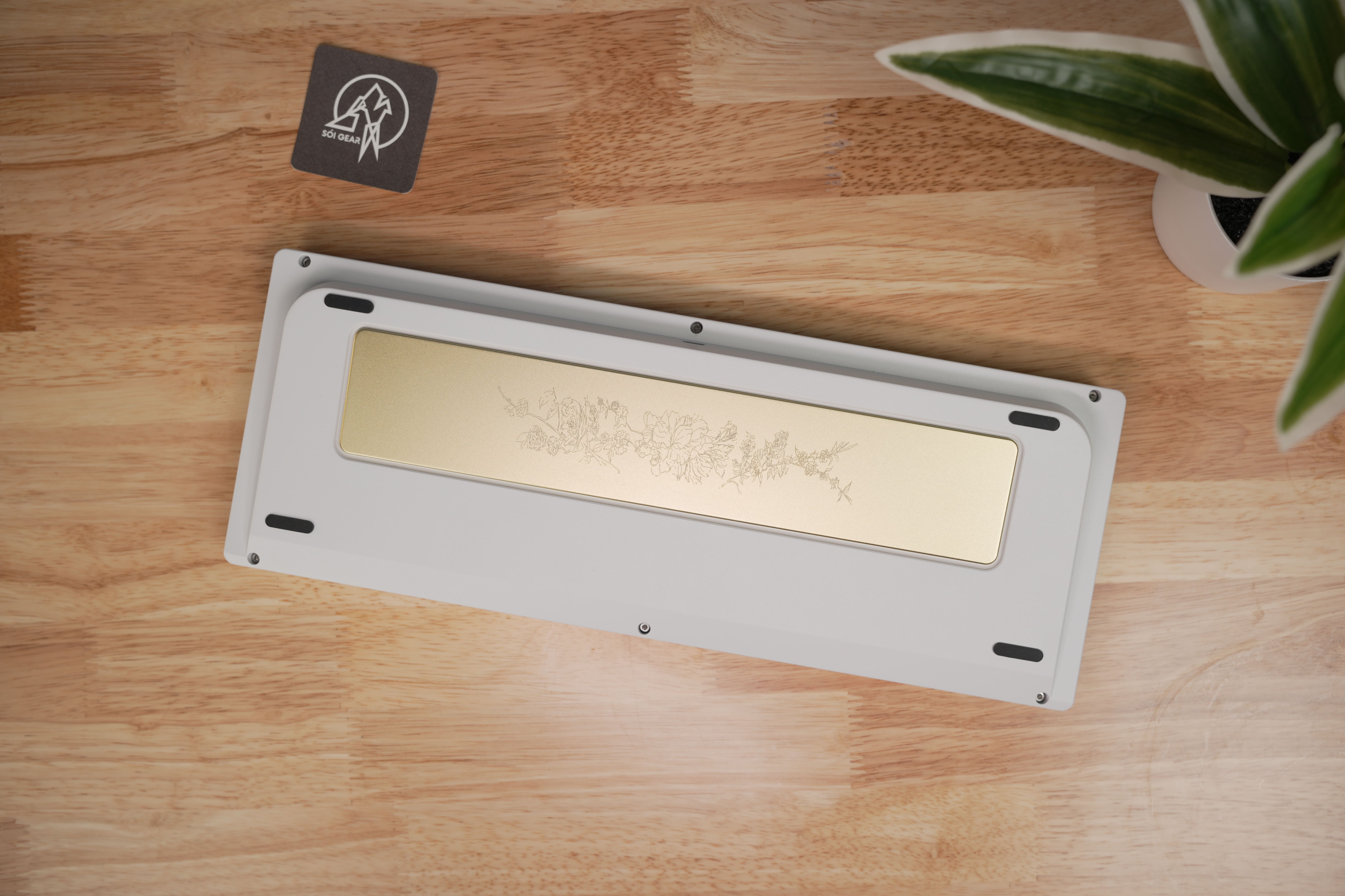 [Prebuilt by Sói] Molly80 Spray White - BSUN Taichi - Aifei BOW