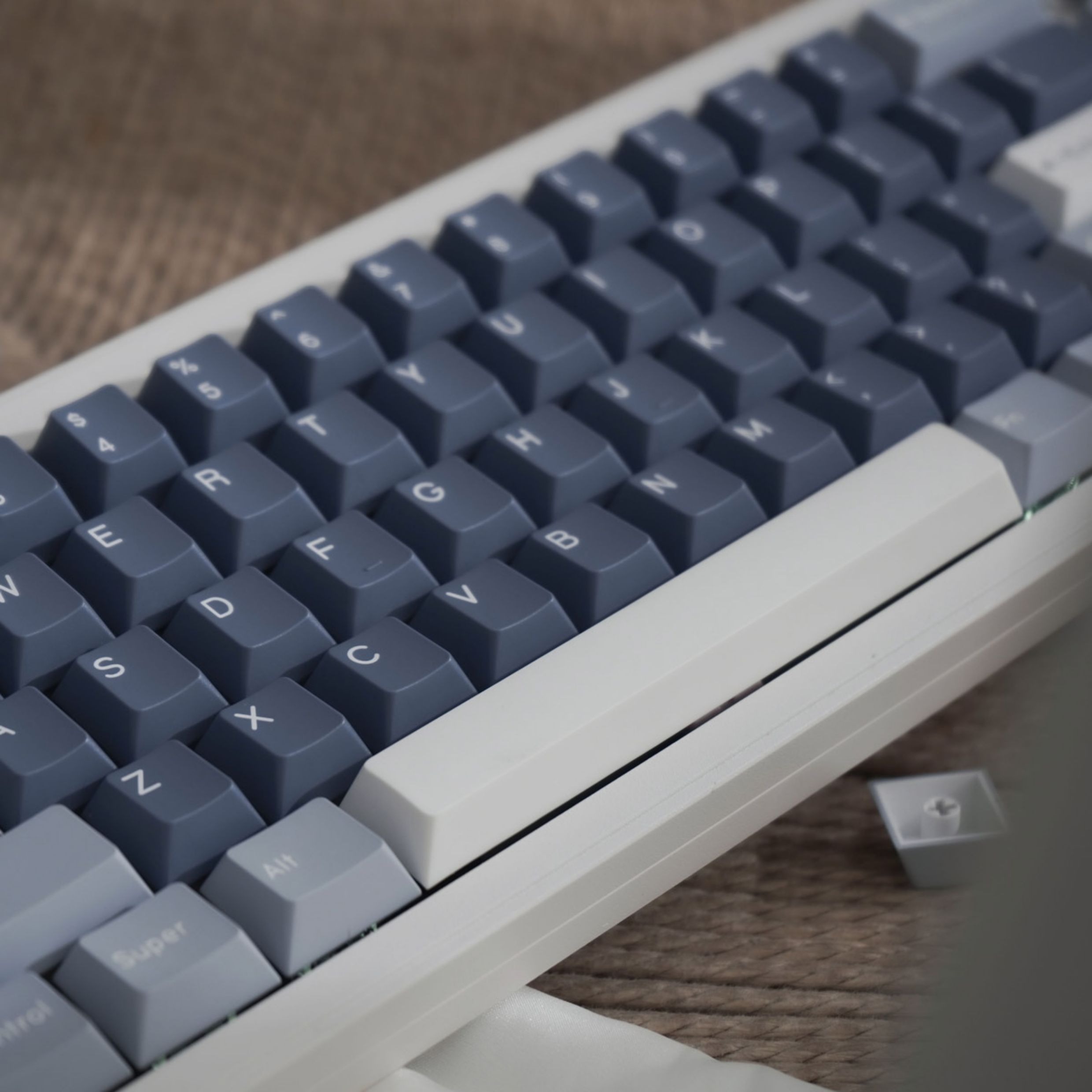 Keycap Mintcaps Cherry PBT Doubleshot Fish