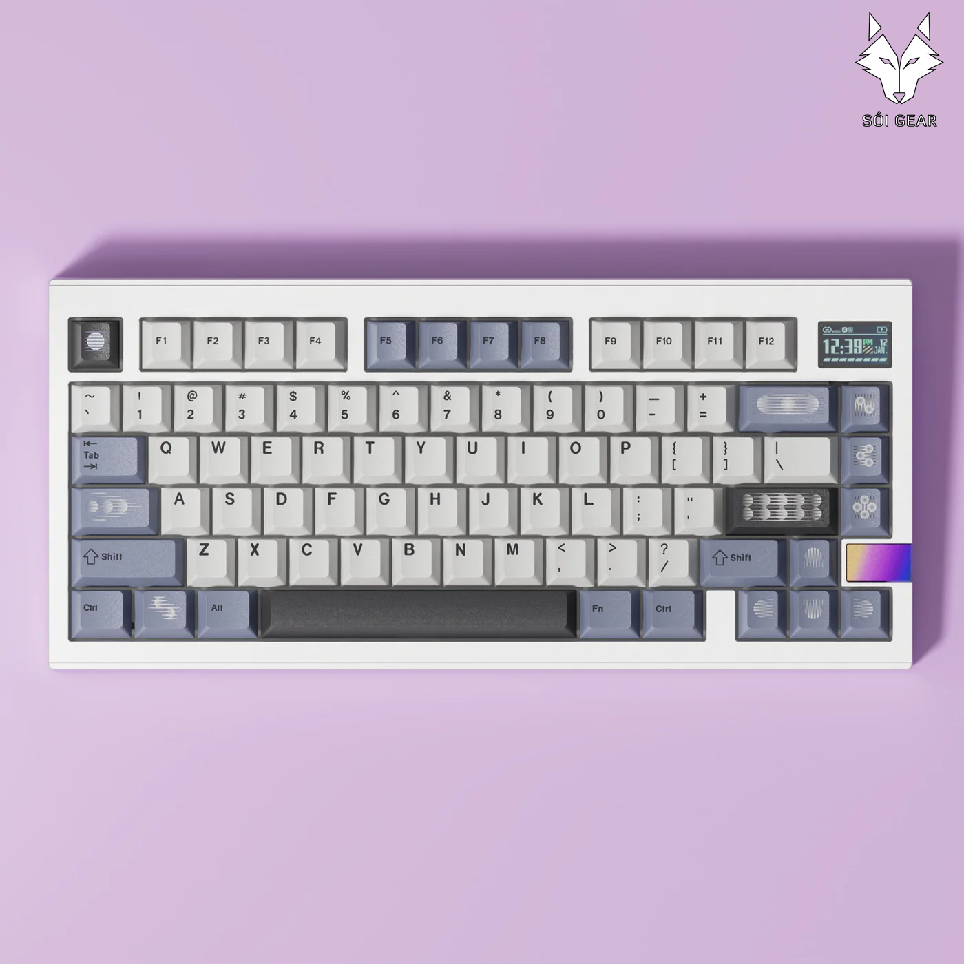 [In Stock] FINALKEY V81 PLUS Keyboard (KIT)