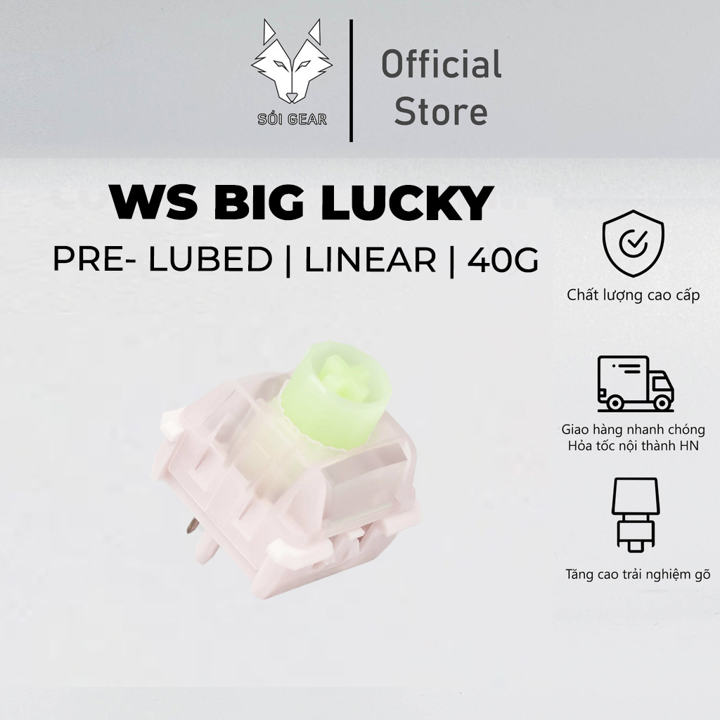 WS Big Lucky Linear Switch