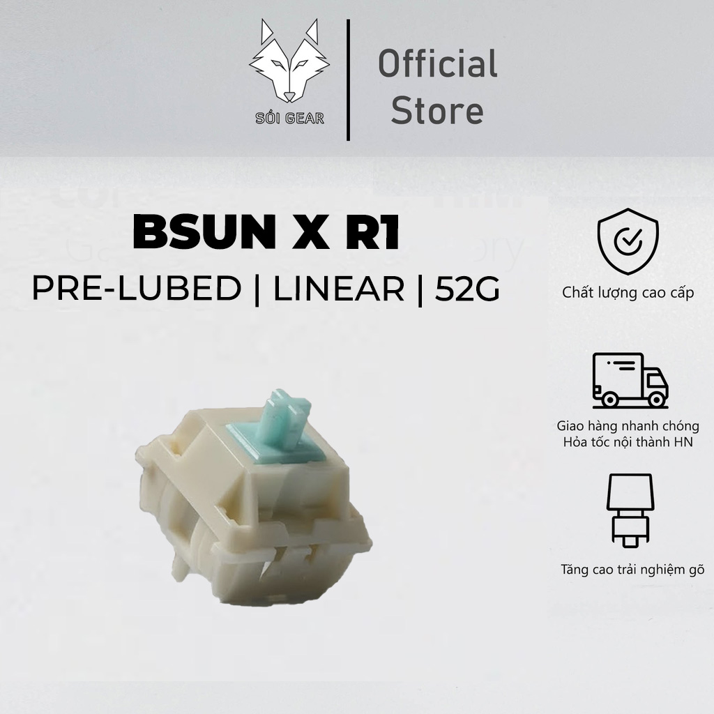 Switch Linear BSUN X R1