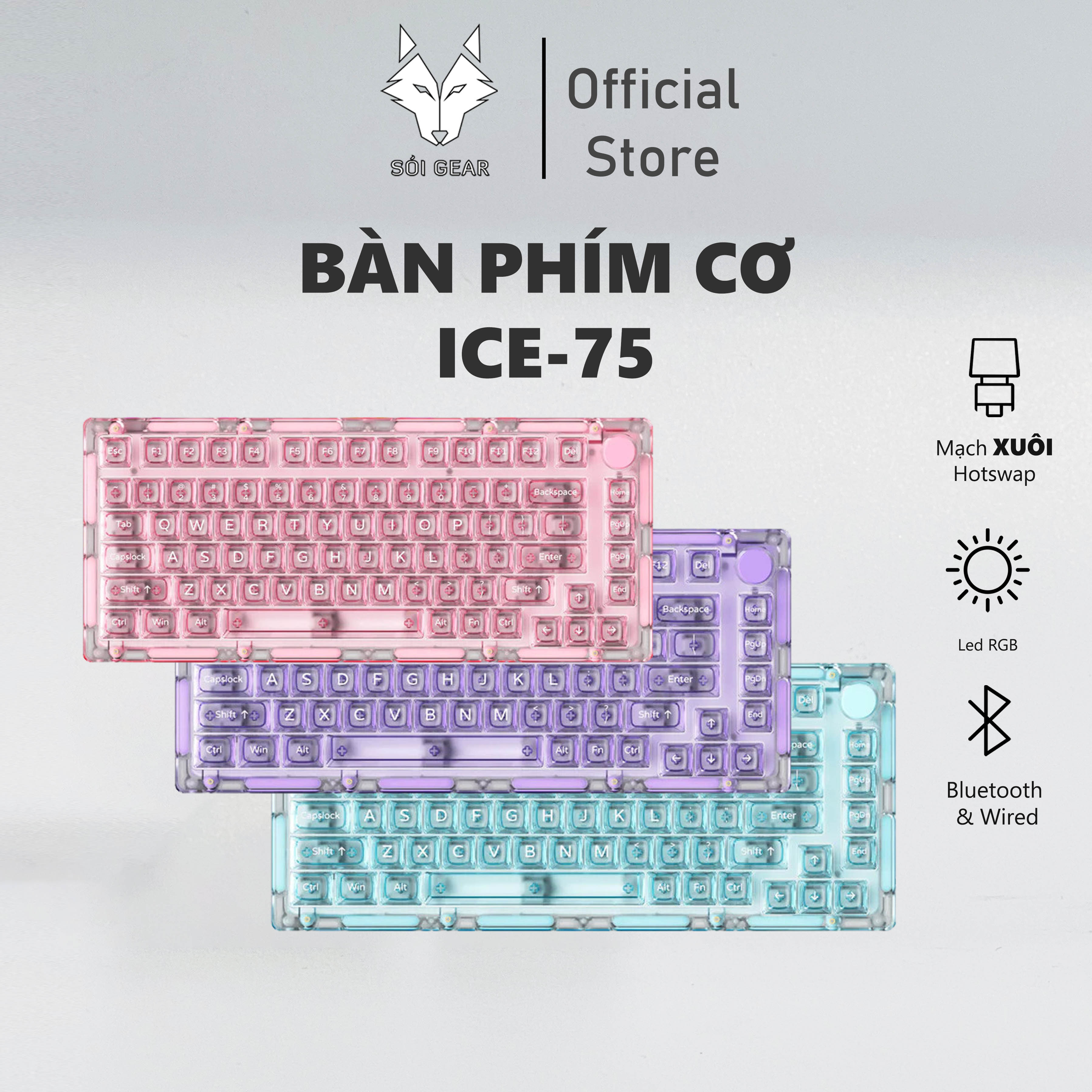 [In Stock] ICE75