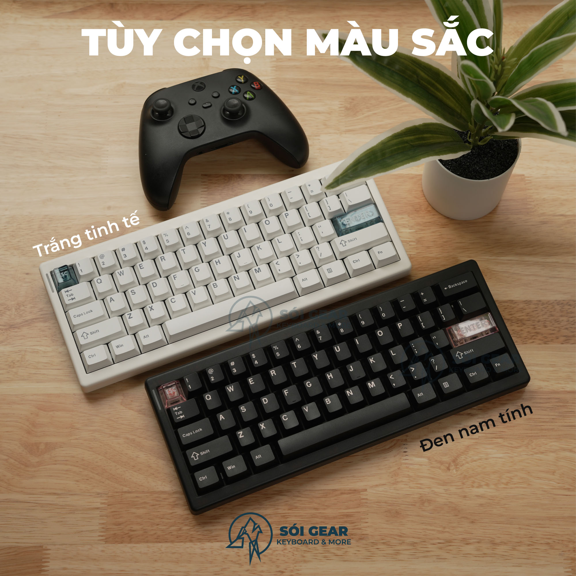 Bàn phím cơ CIDOO QK61 V2