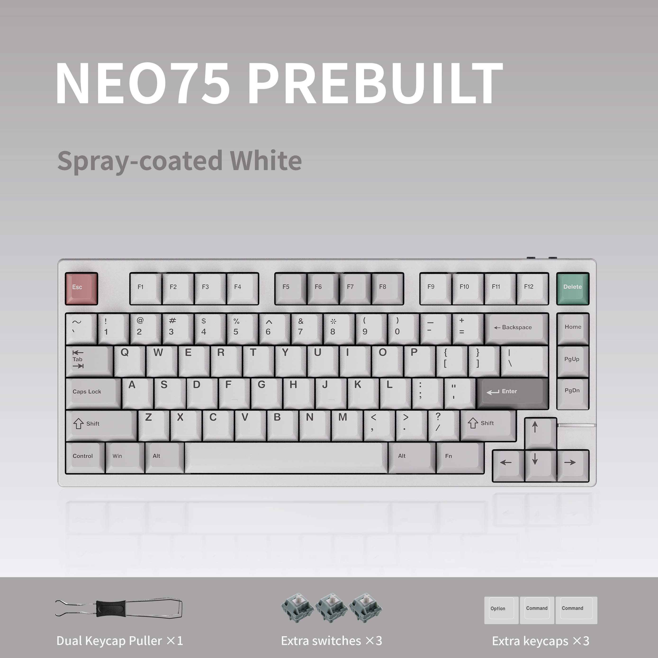[Pre-Order] Neo75 Prebuilt