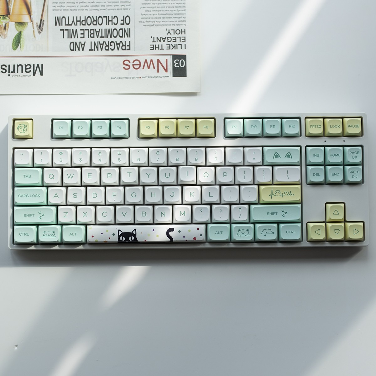 Keycap XDA mèo lạ PBT Dyesub
