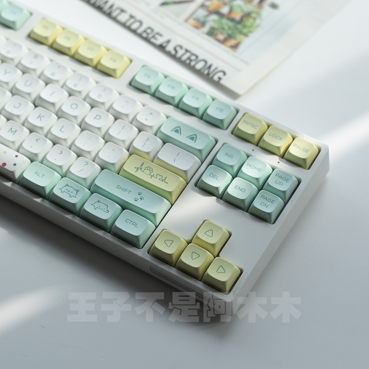 Keycap XDA mèo lạ PBT Dyesub