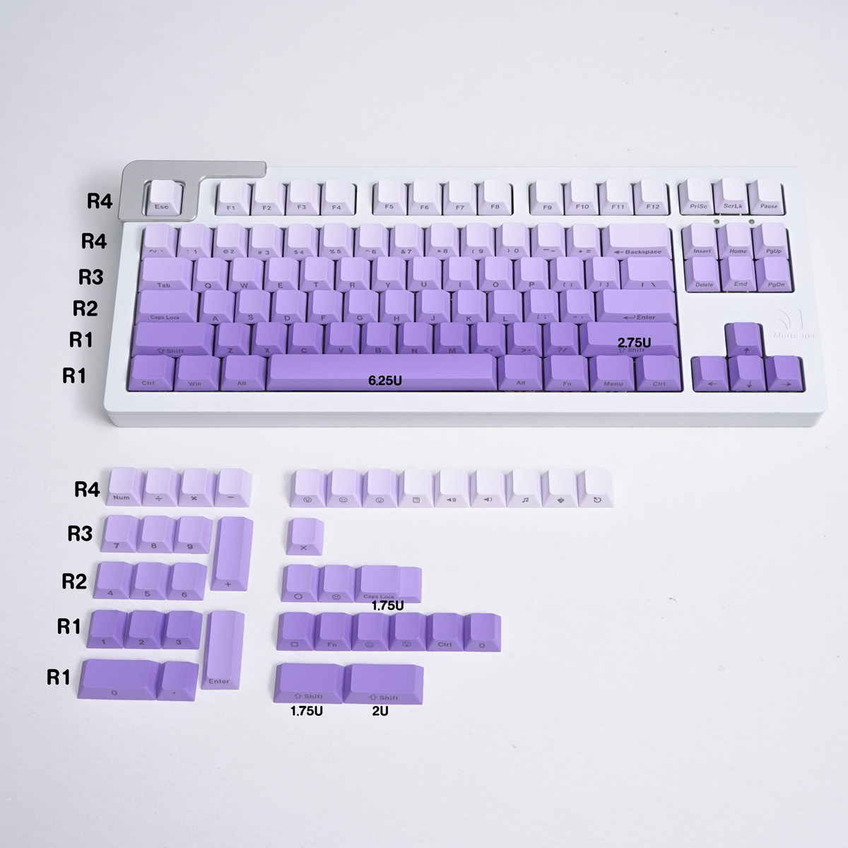 Keycap Cherry Ninja Gradient Purple PBT Dyesub (Chữ dưới - không xuyên led)