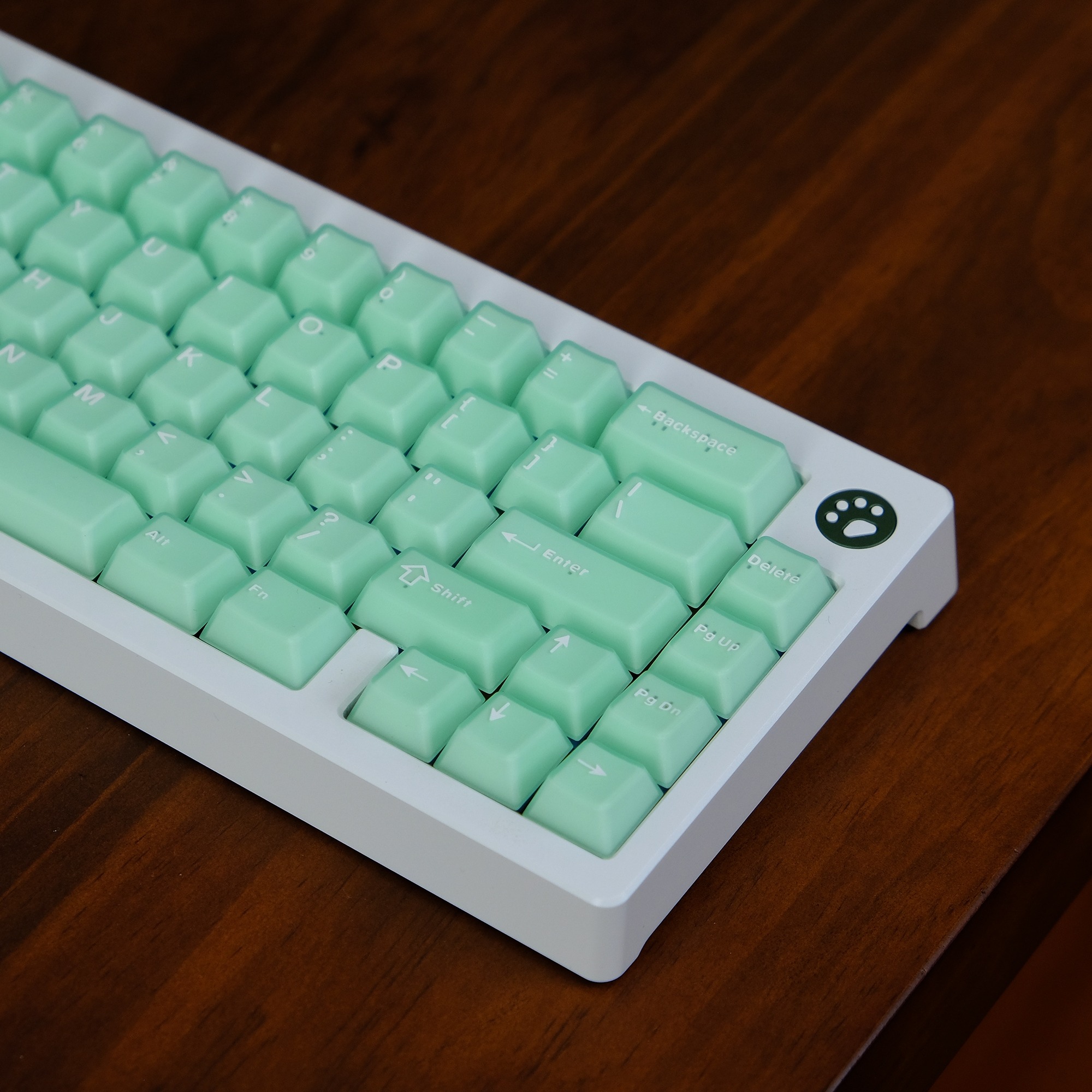[In-stock] Keycap Cherry Aifei Pyga Jinyu Semi-Transparent ABS Doubleshot