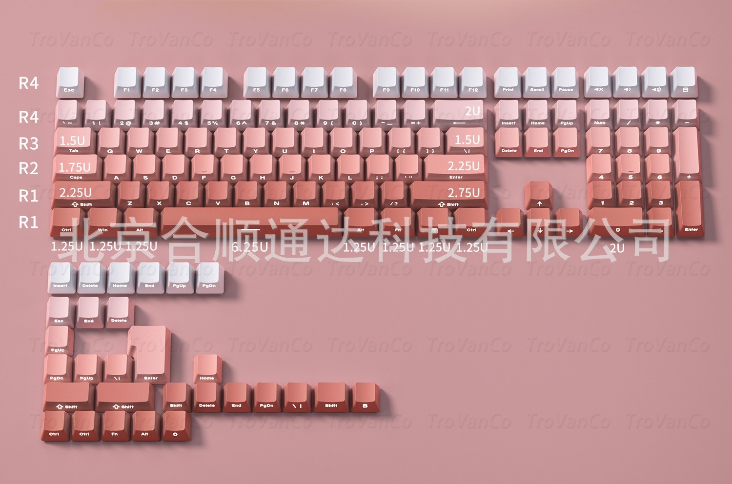 Keycap OEM PBT Ninja Gradient Xuyên led - Hồng
