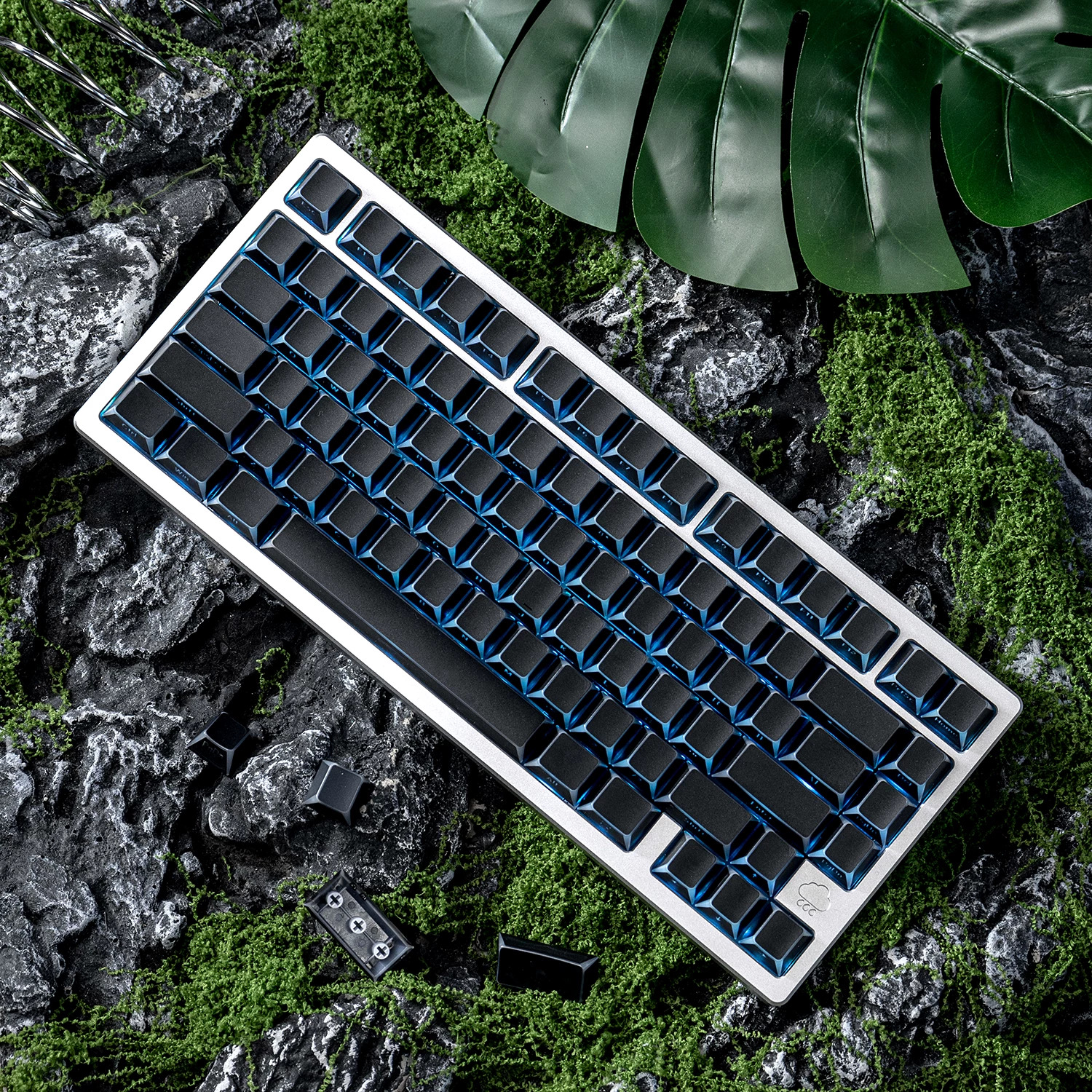 Keycap Mintcap Đen Xuyên LED Cạnh Viền Cherry PBT