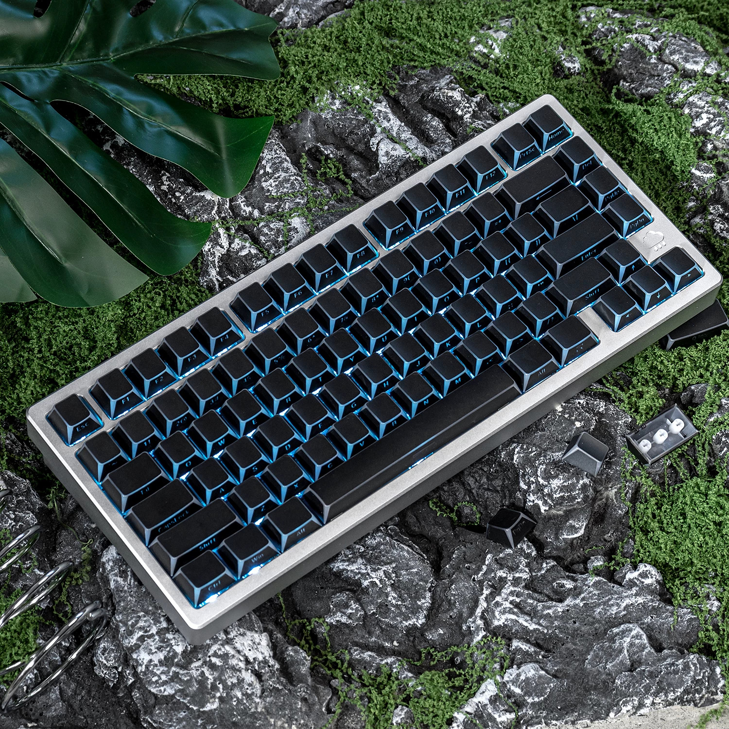 Keycap Mintcap Đen Xuyên LED Cạnh Viền Cherry PBT