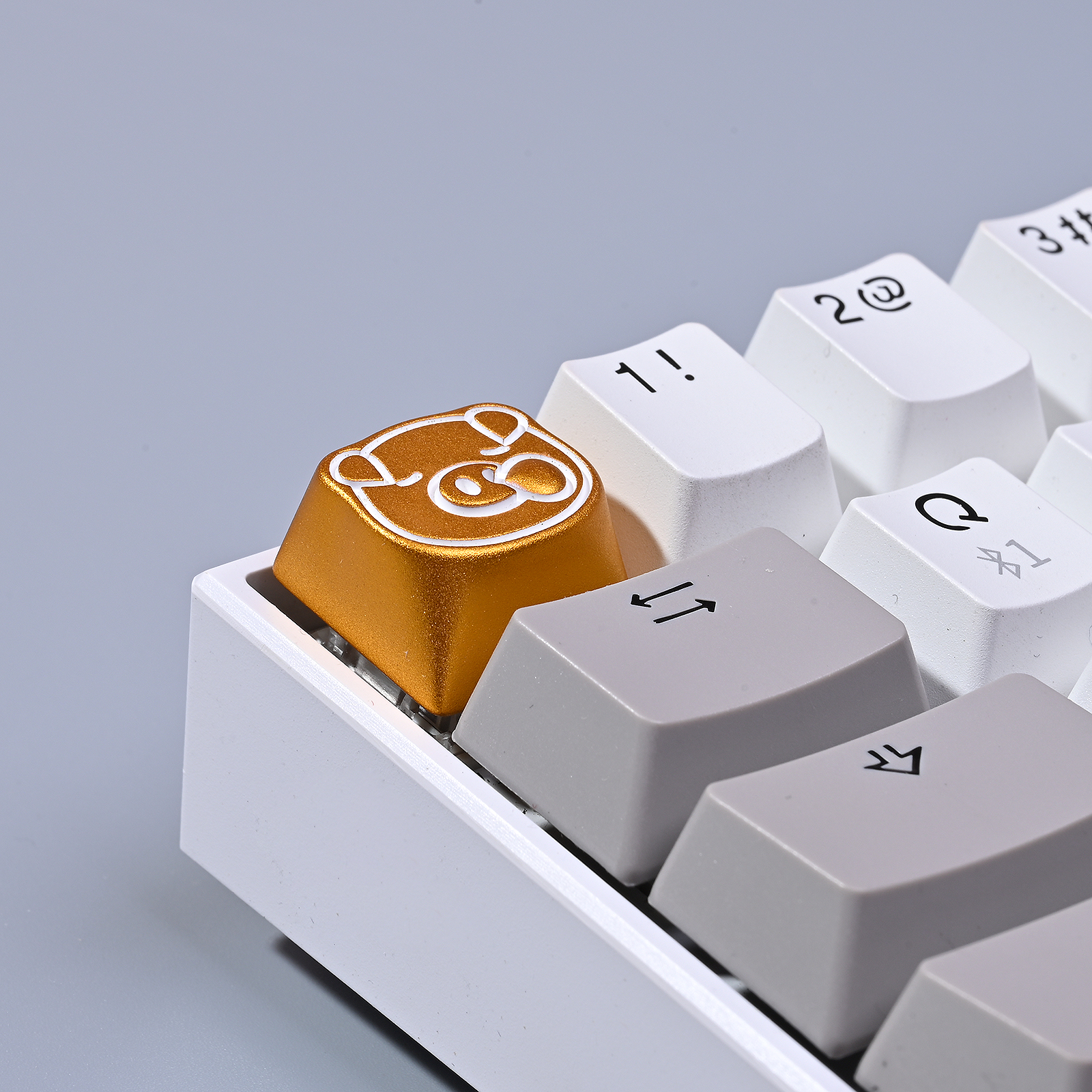 Keycap Artisan Pig | Kelowna