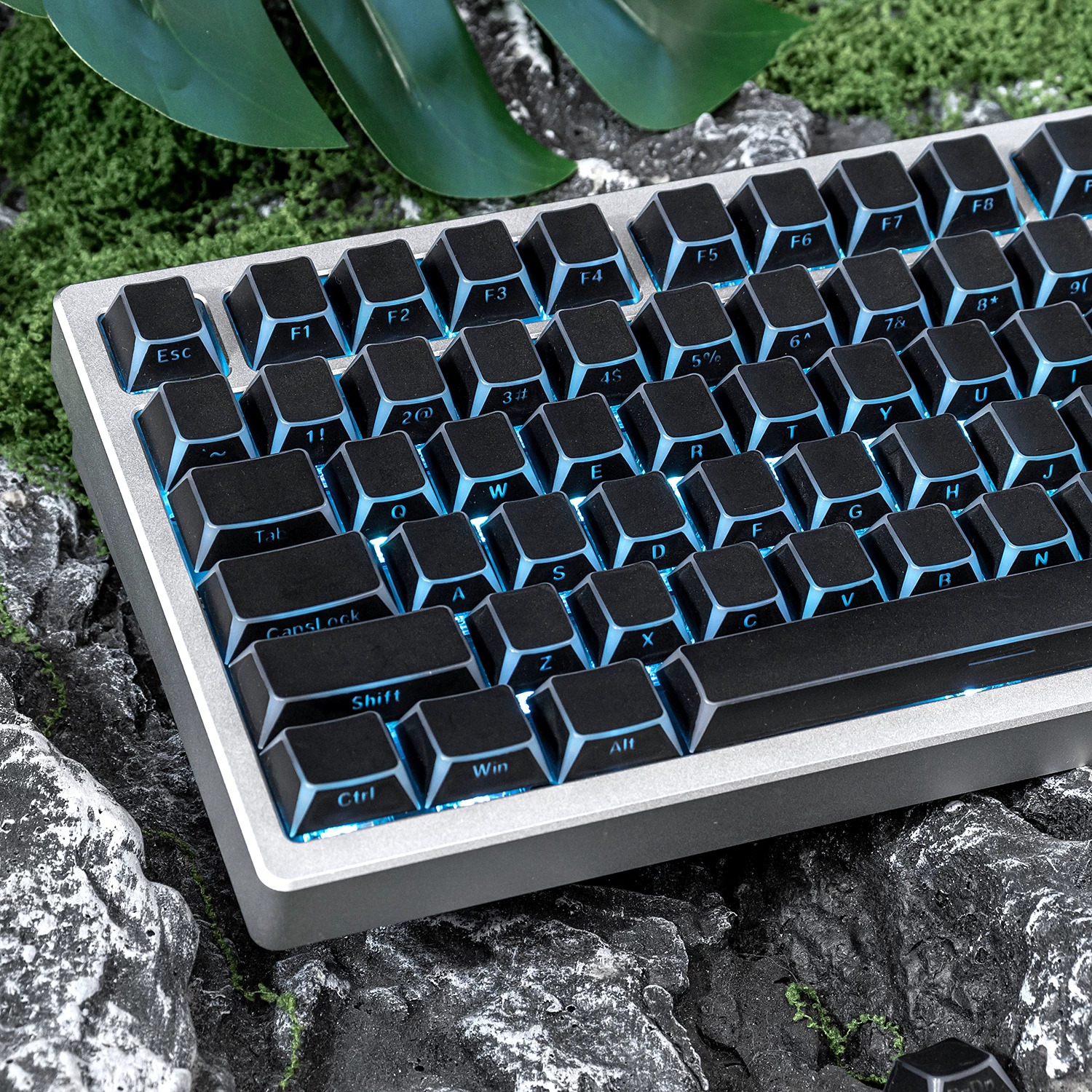 Keycap Mintcap Đen Xuyên LED Cạnh Viền Cherry PBT