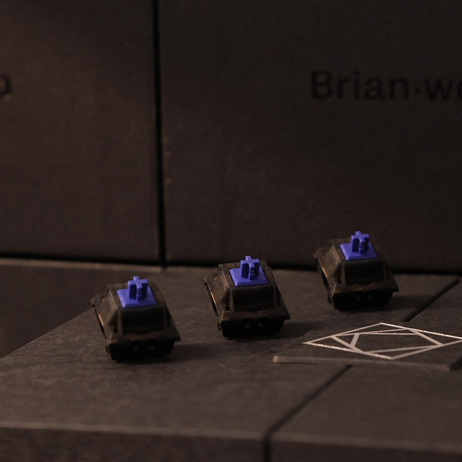 [Instock] Switch Linear Keygeek Brian B1