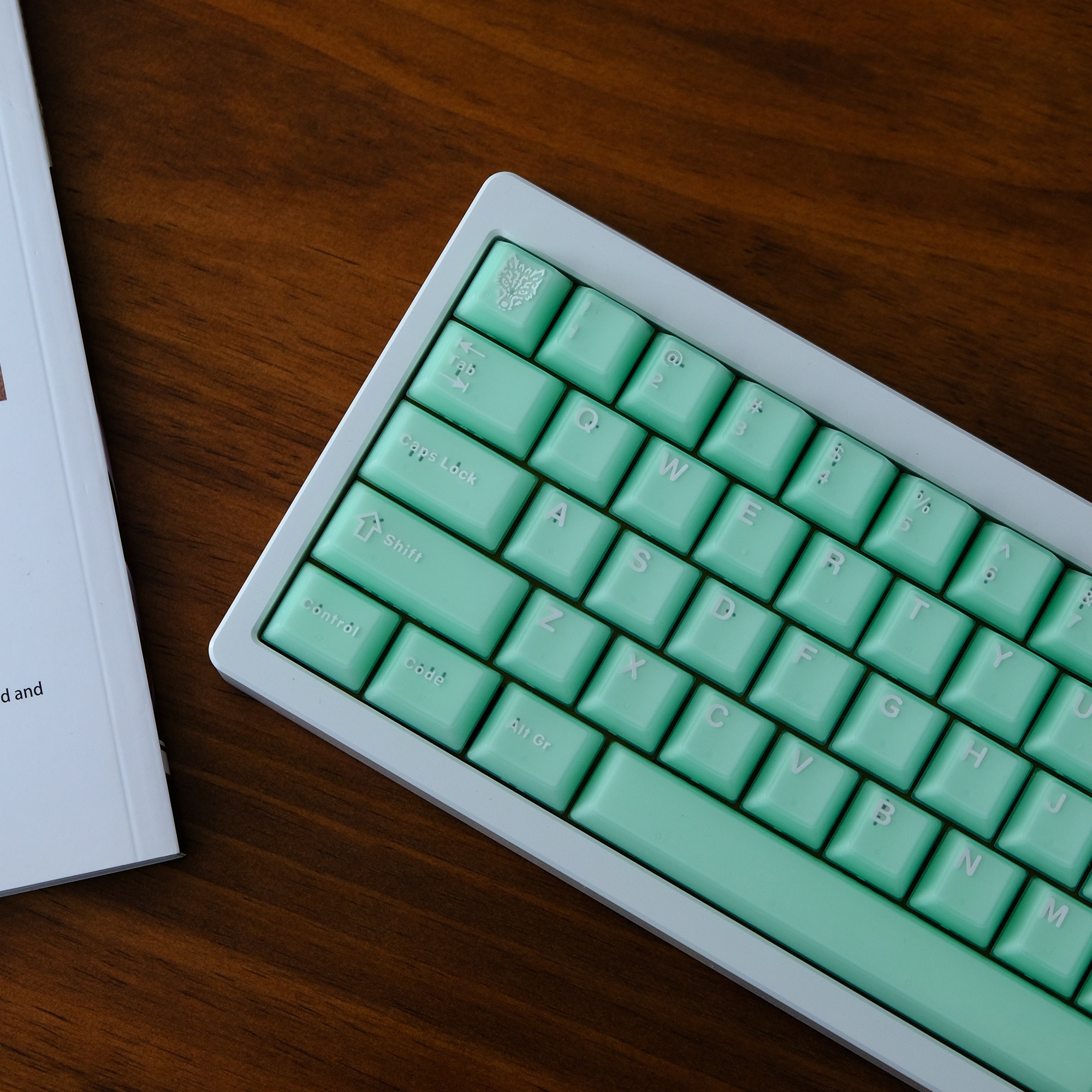 [In-stock] Keycap Cherry Aifei Pyga Jinyu Semi-Transparent ABS Doubleshot