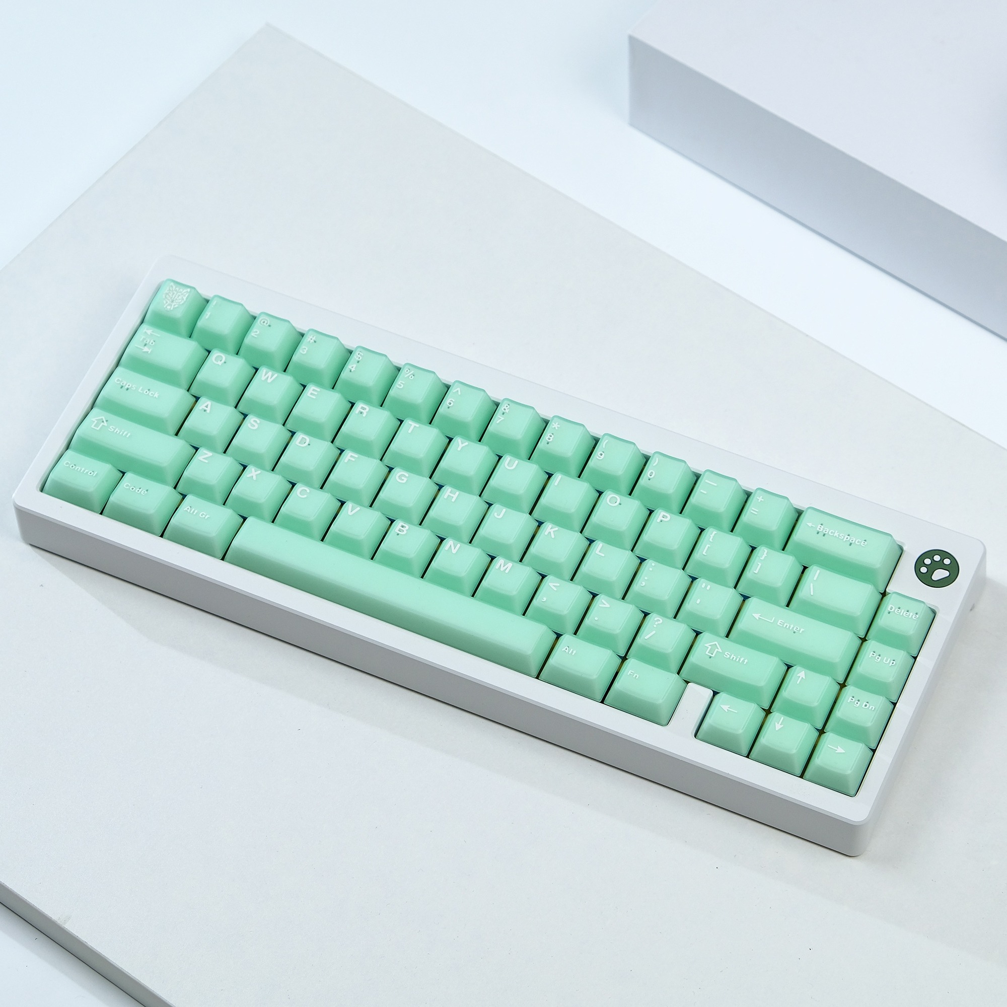 [In-stock] Keycap Cherry Aifei Pyga Jinyu Semi-Transparent ABS Doubleshot
