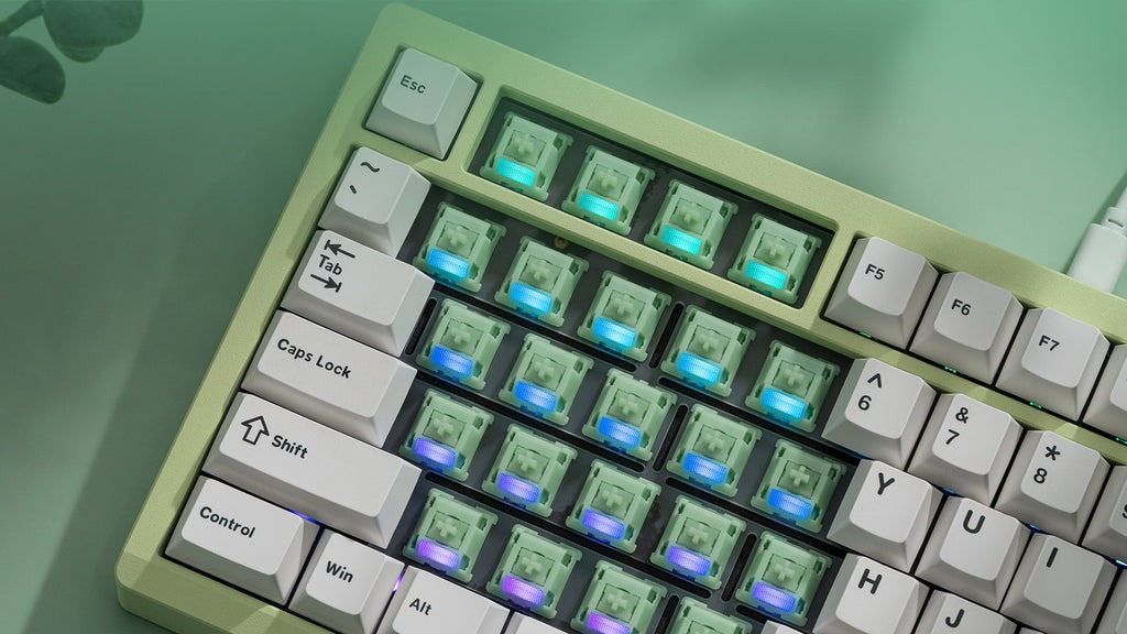 Switch Linear WS Jade Green