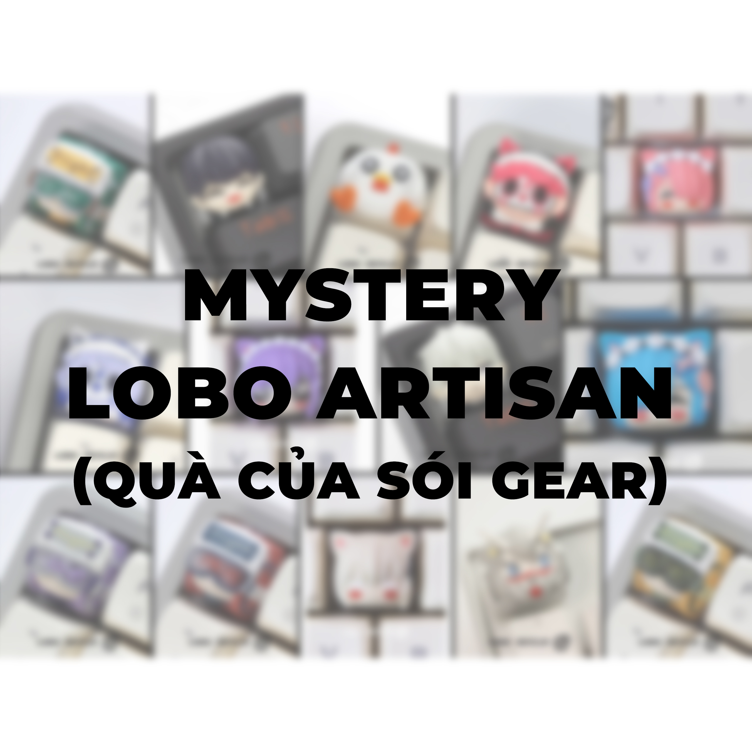 [In Stock] Zoom TKL DYNA Mystery Surprise Pack