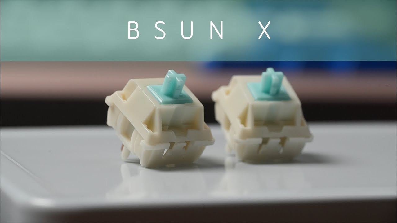 Switch BSUN X R1