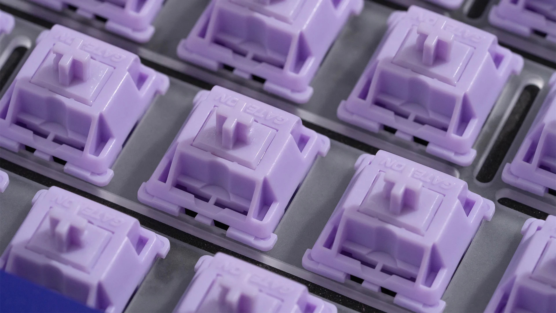 [Instock] Switch WS POM Linear