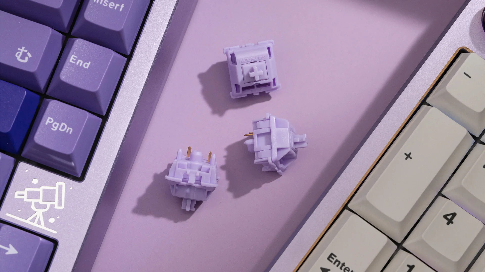 [Instock] Switch WS POM Linear