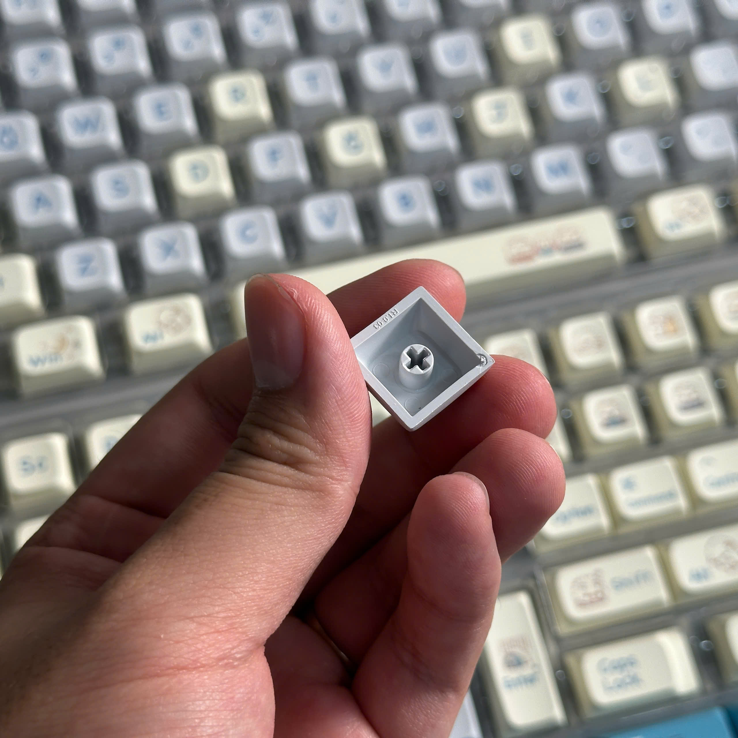 Keycap MOA/XDA Meow PBT Dyesub