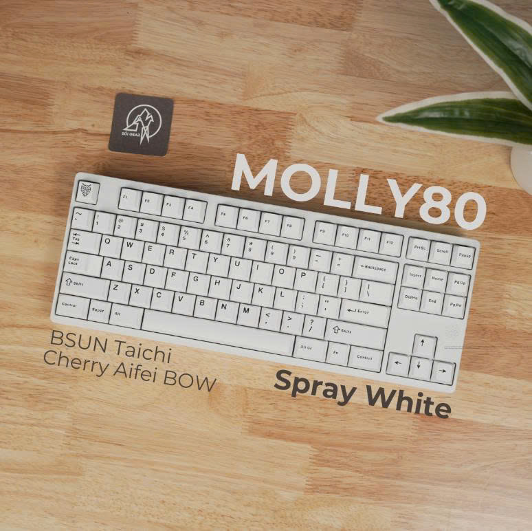 [Prebuilt by Sói] Molly80 Spray White - BSUN Taichi - Aifei BOW