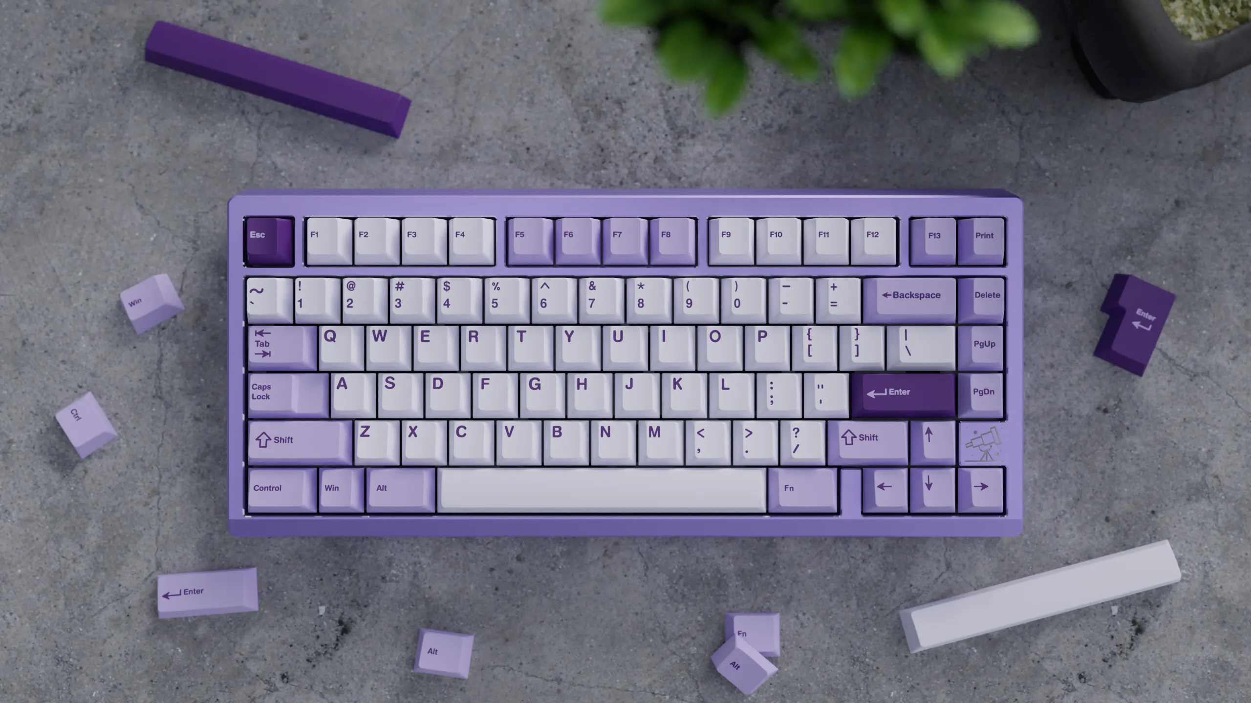 [In Stock] Keycap WS Lavender Bliss