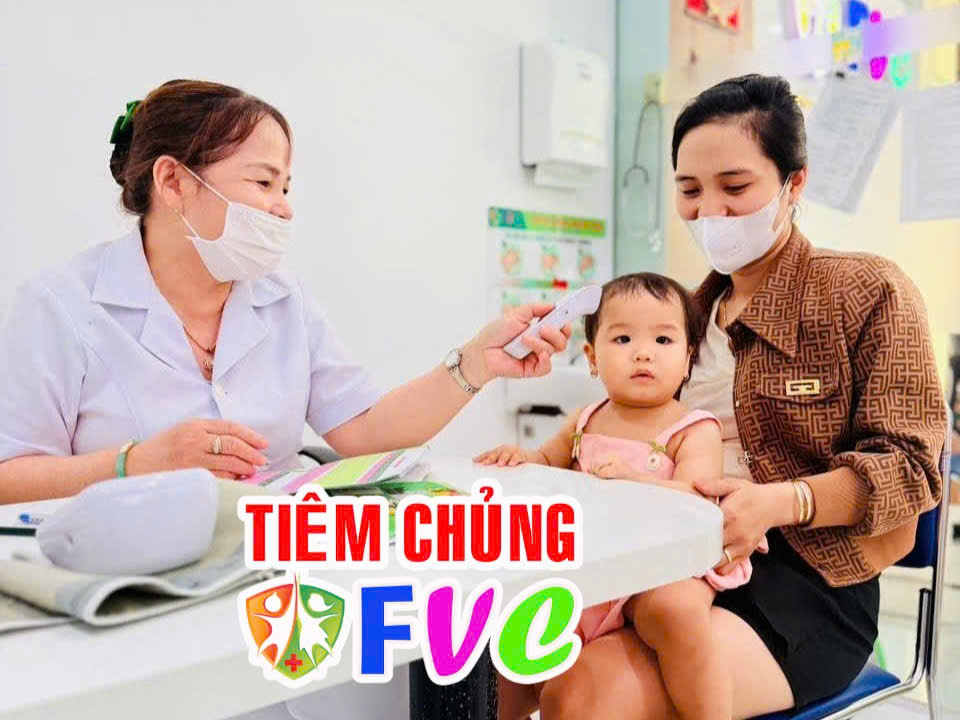 Hướng dẫn vệ sinh vết thương do chó mèo cắn, phòng bệnh dại