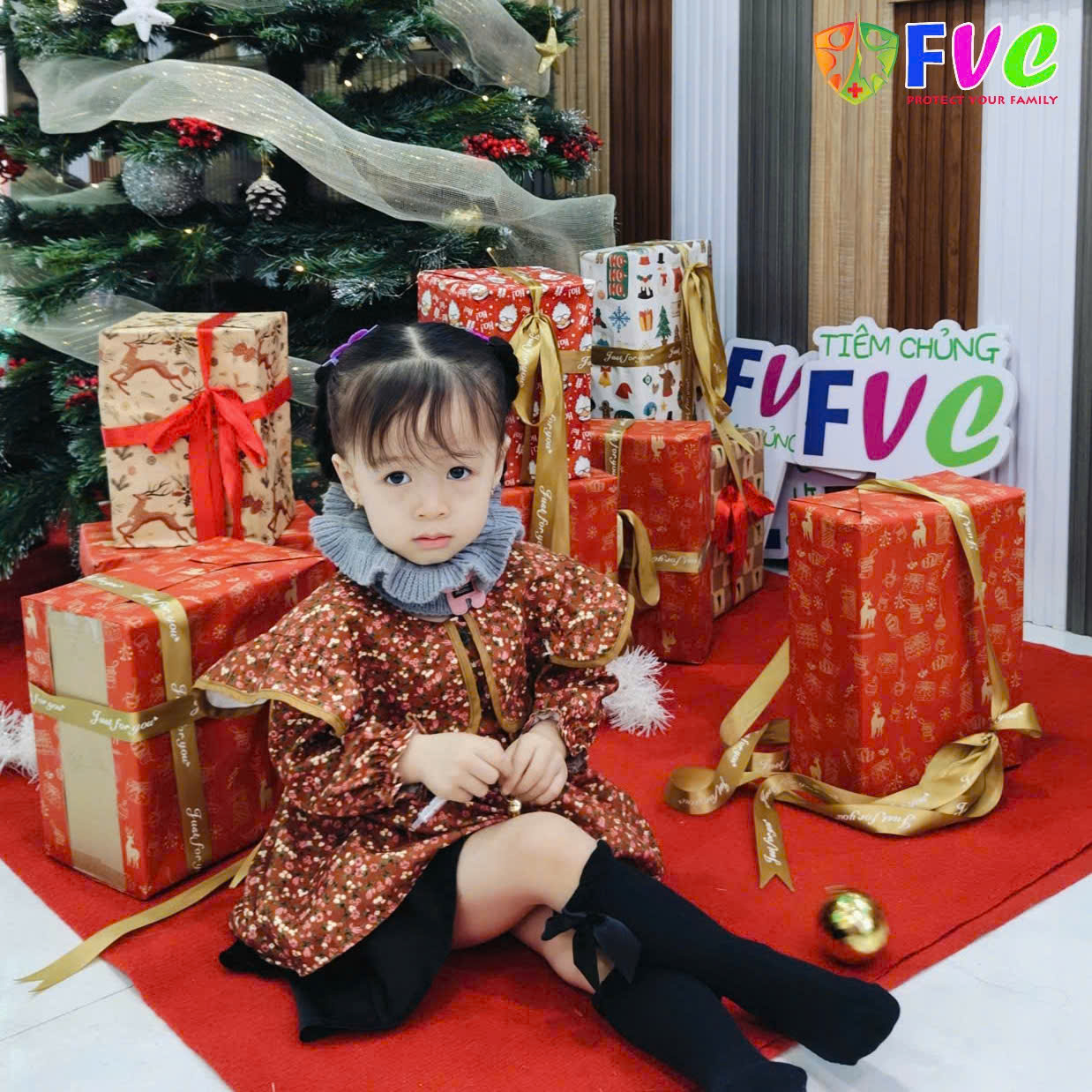 Vắc Xin Thương Hàn: Bảo Vệ Sức Khỏe Toàn Cầu